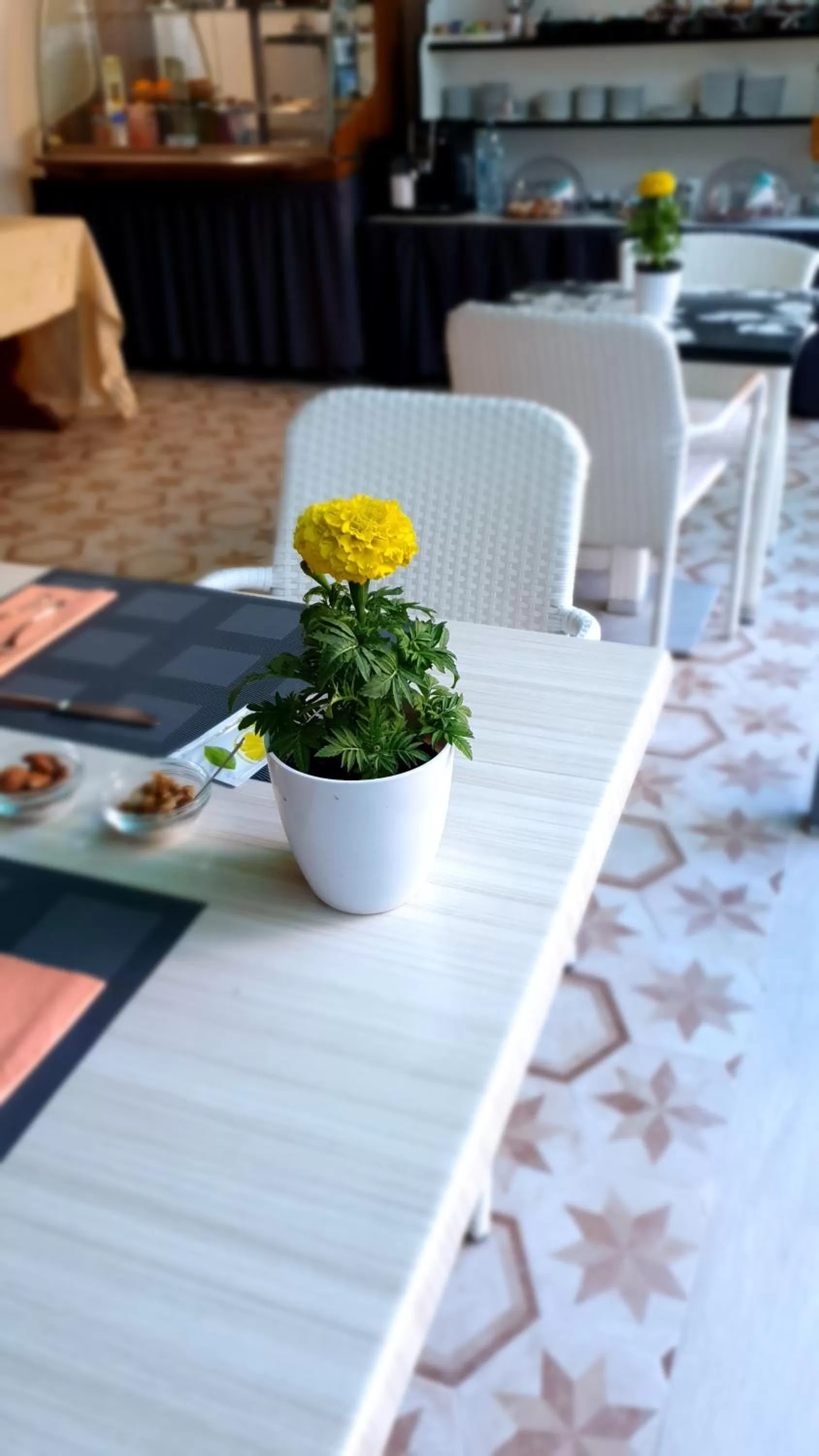 Breakfast in Tropeacentro