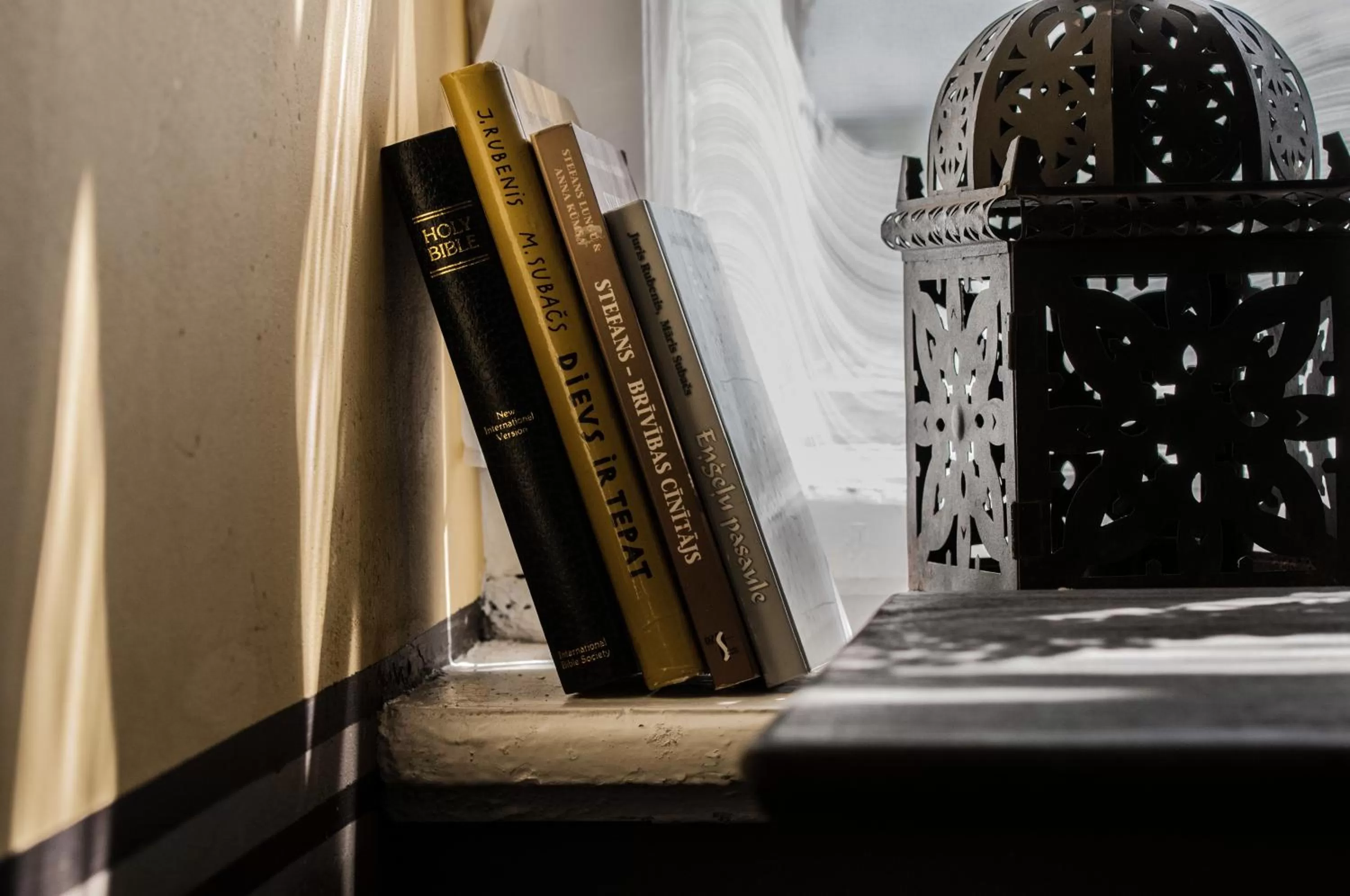 Library in Roberta Hercberga Apartamenti