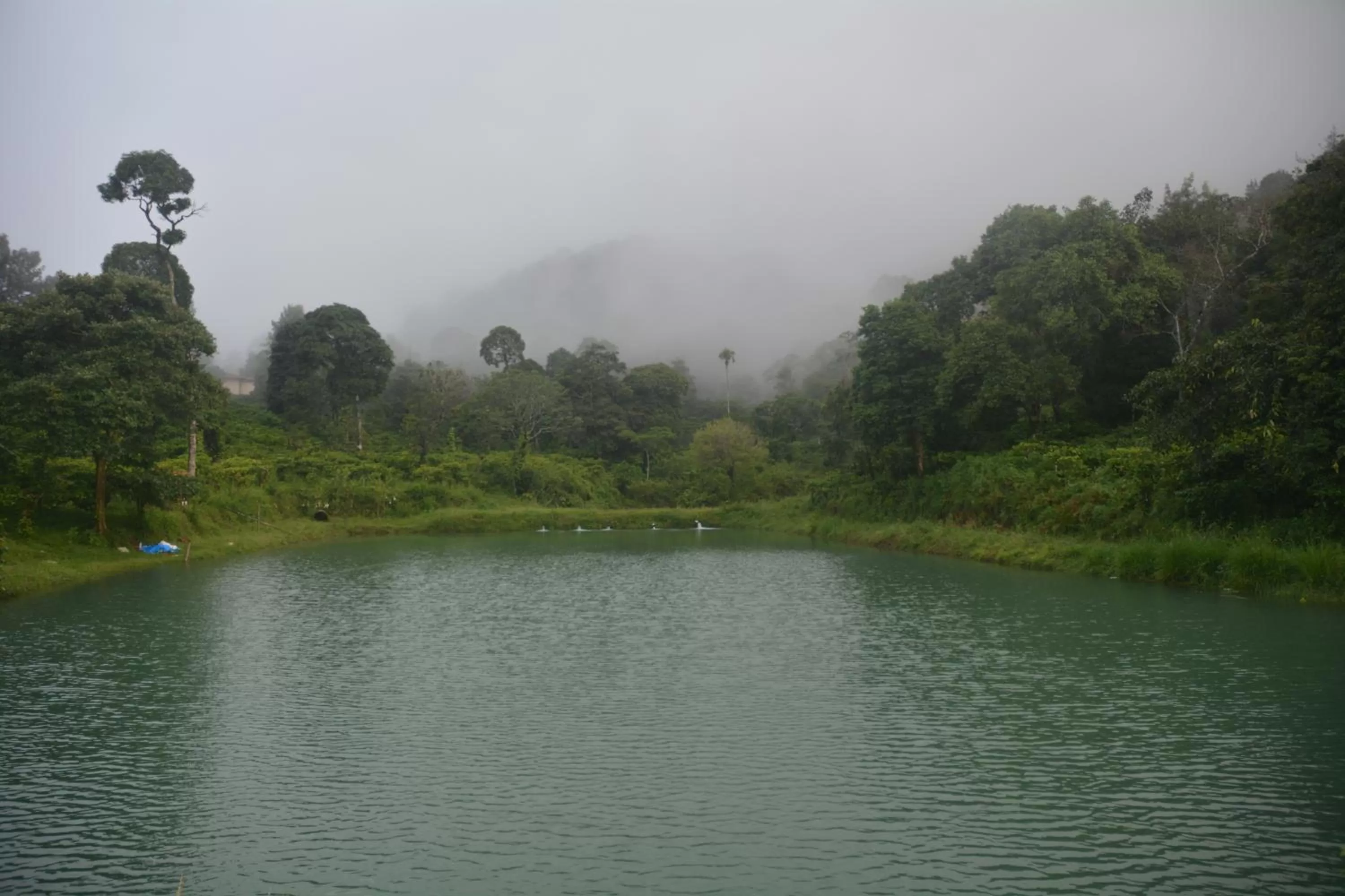Lake view in Magnolia Estates & Resorts