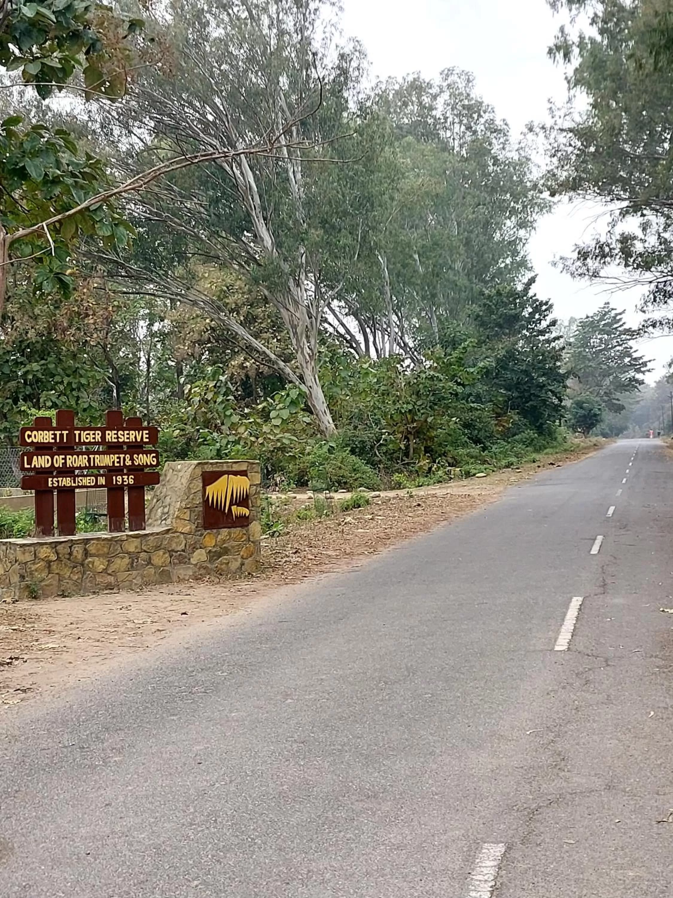 Natural landscape in The Corbett Jungle By JitaInn
