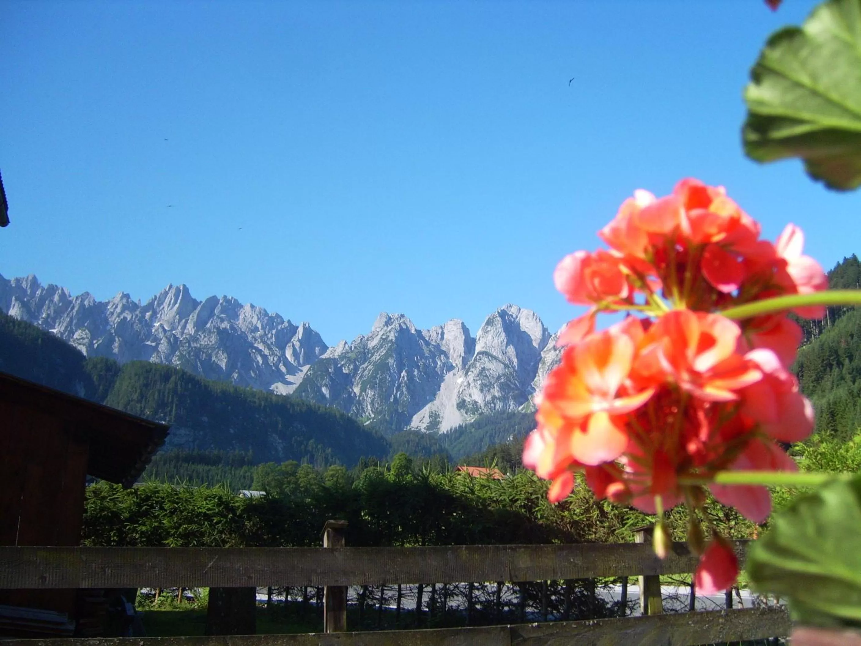 BBQ facilities, Mountain View in Privatpension Gosaukammblick