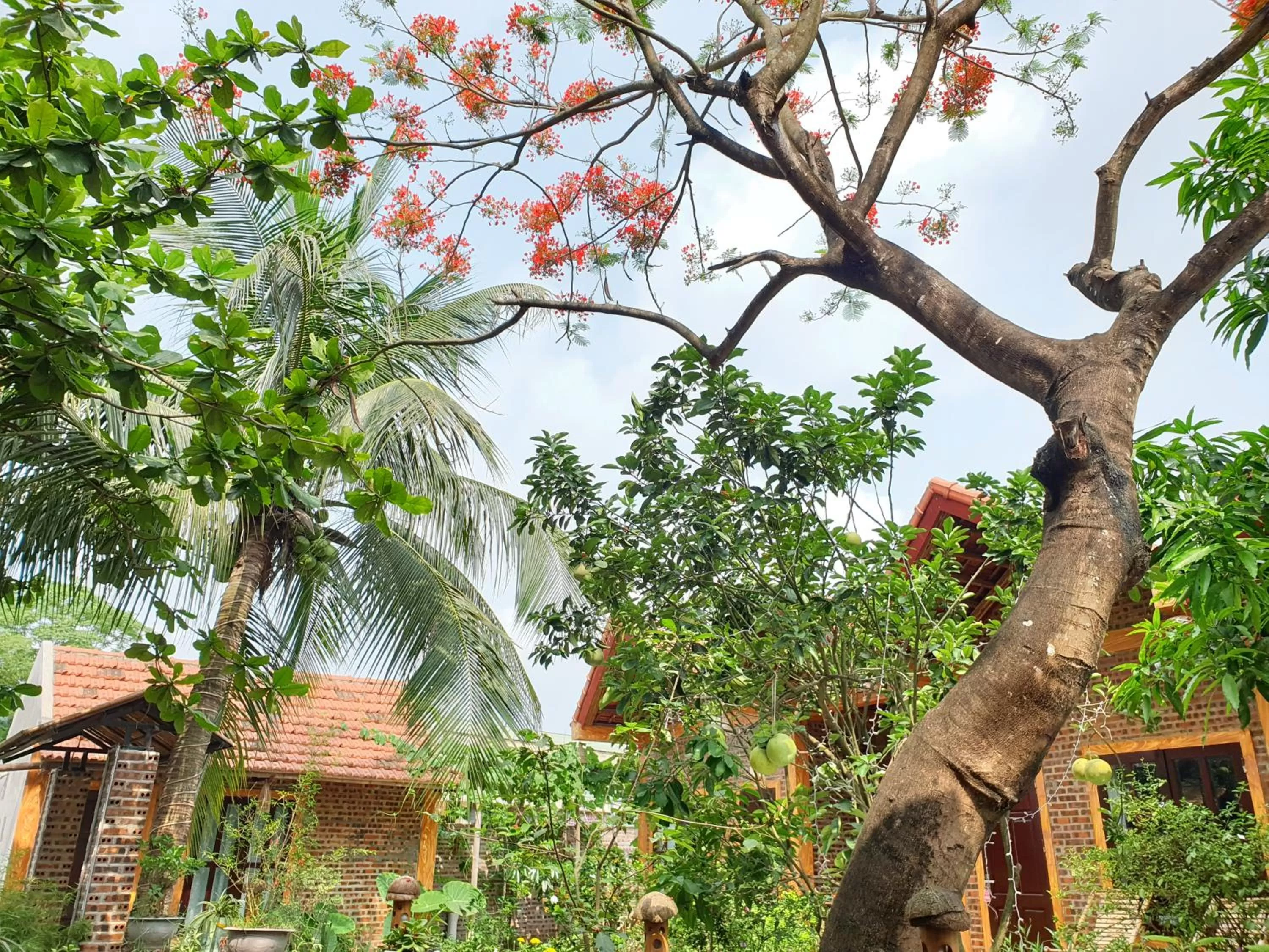 Day in Tam Coc Vinh Thinh Homestay
