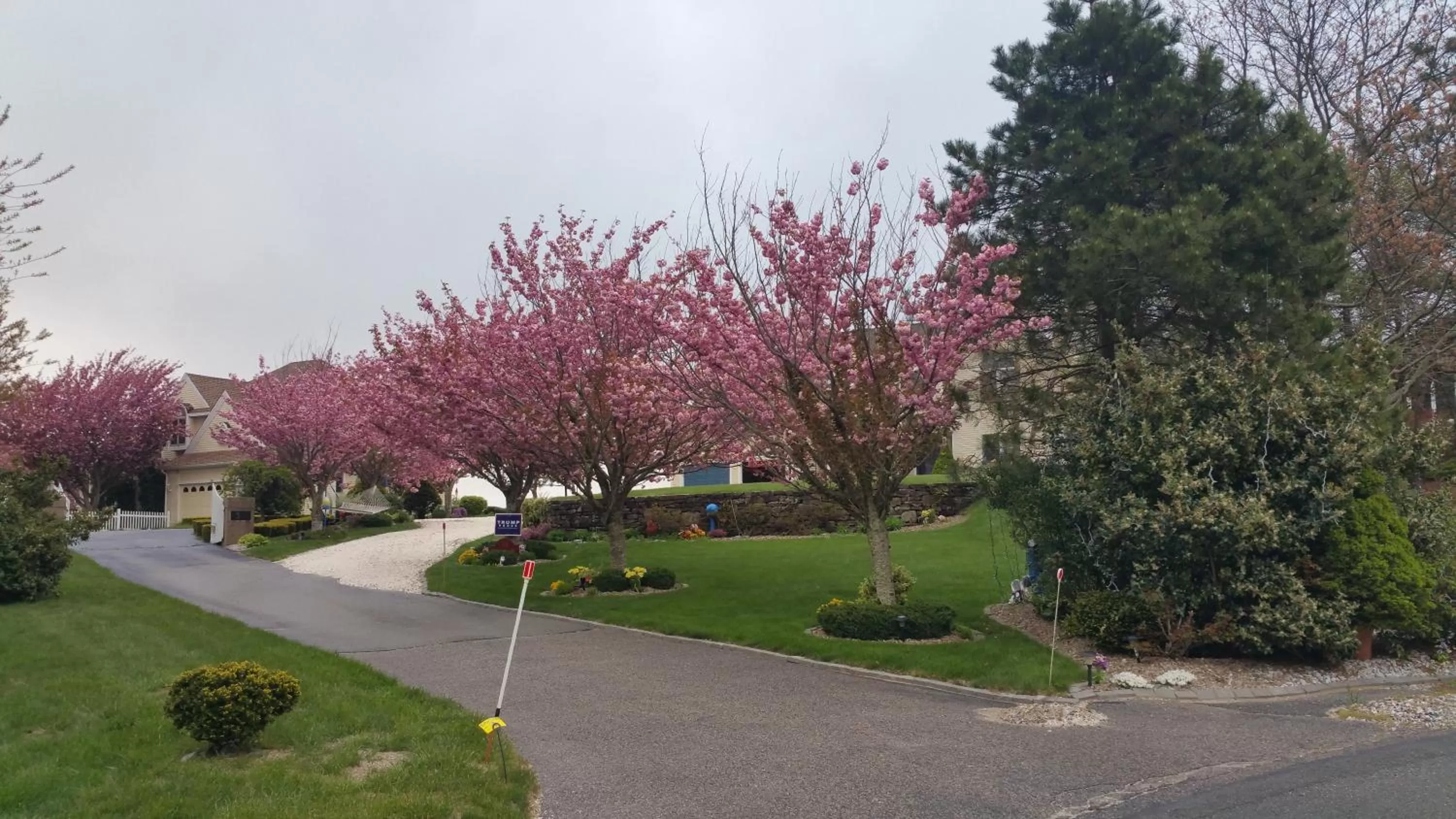 Street view in Inn 38 Oak Bluff Circle