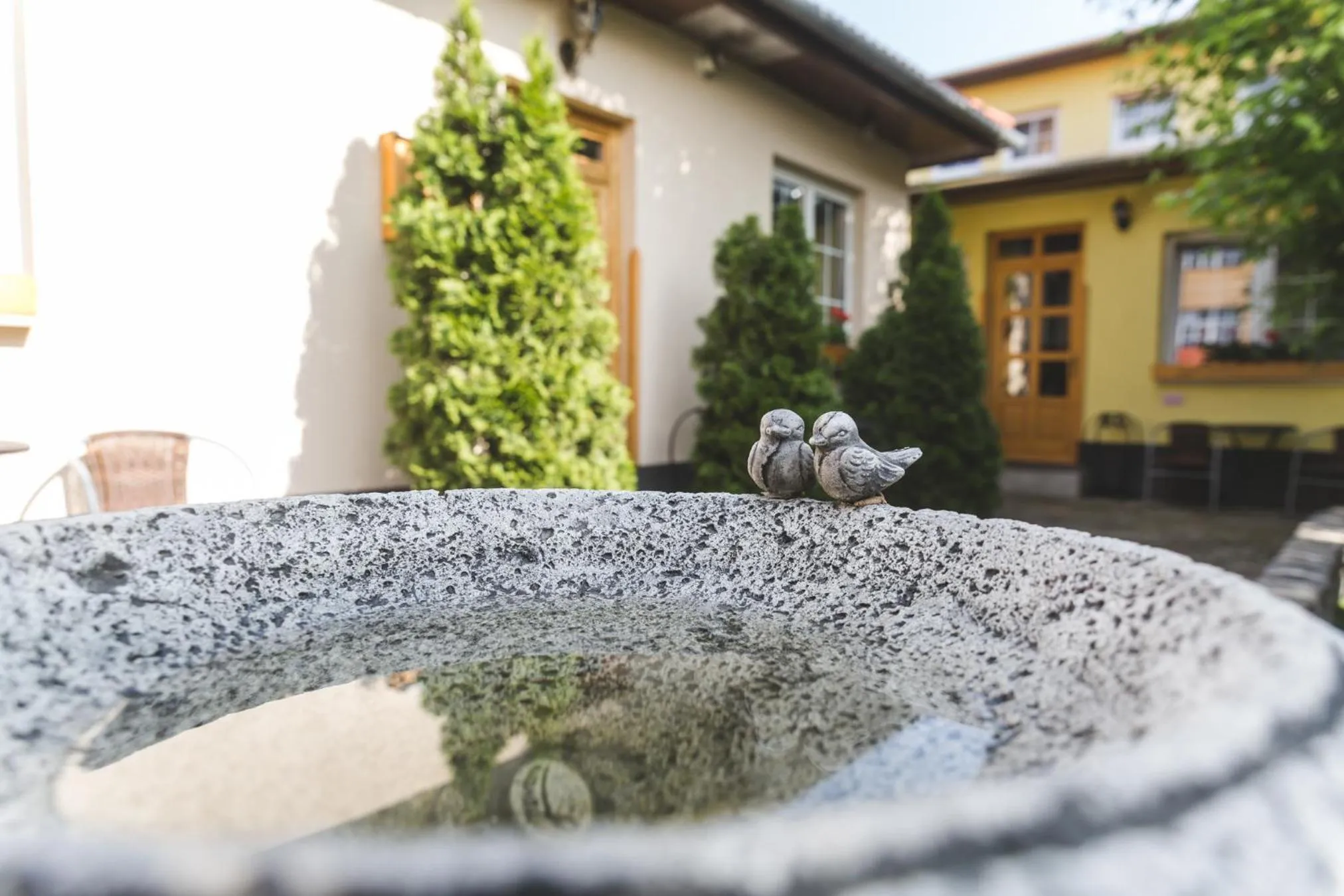 Garden in Hotel Karin