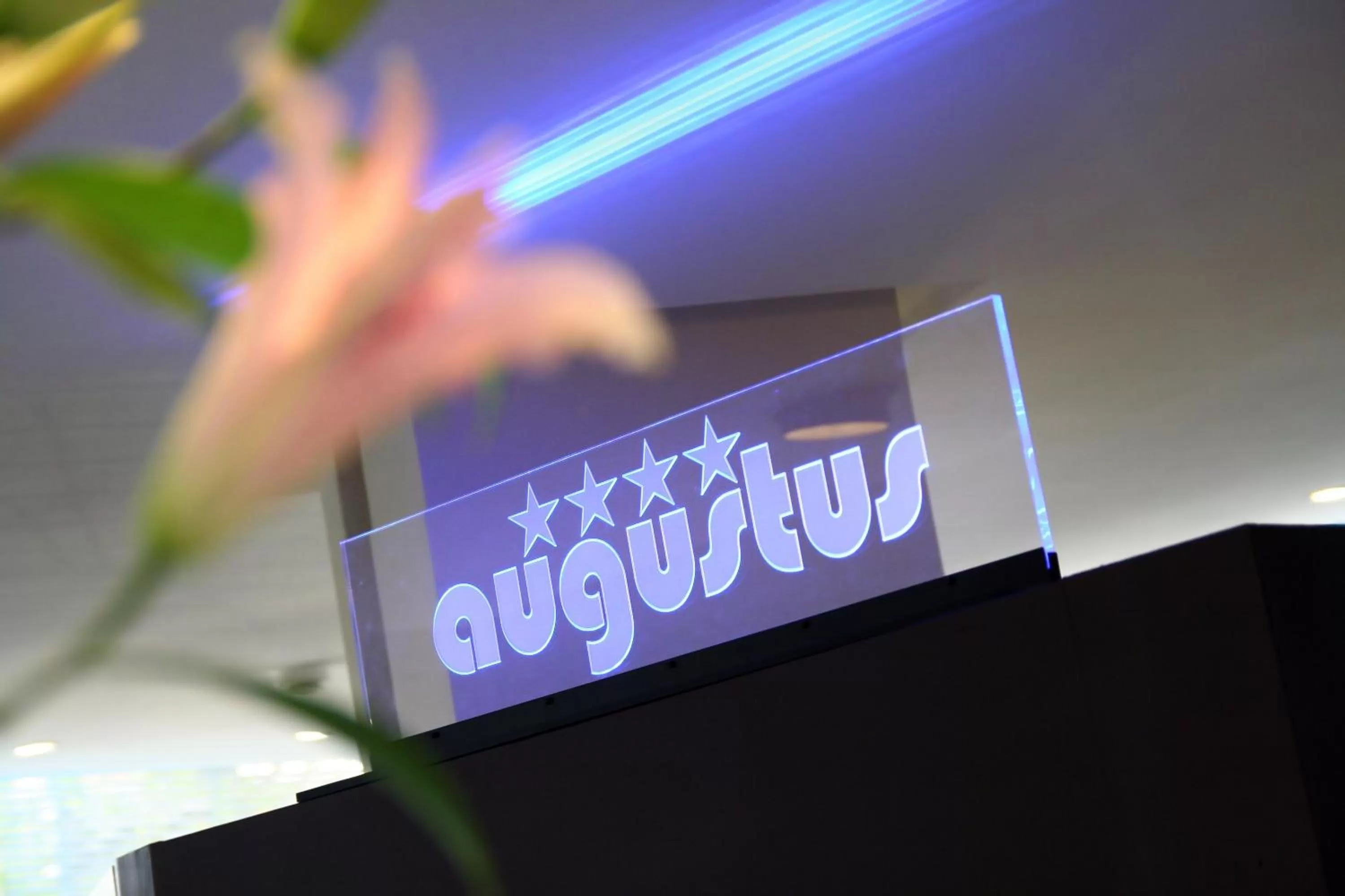 Lobby or reception in Hotel Augustus