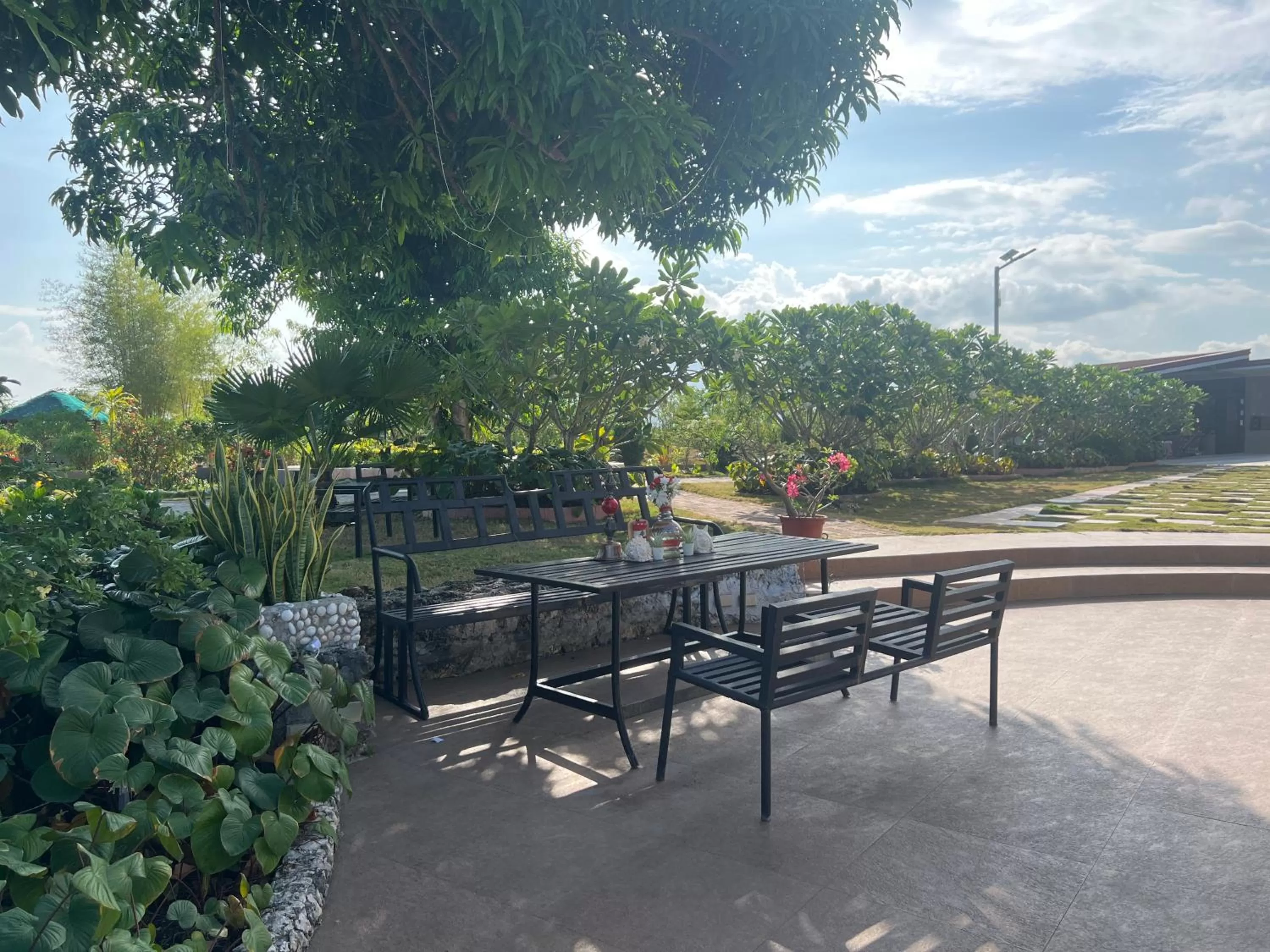 Garden in La Plumerias