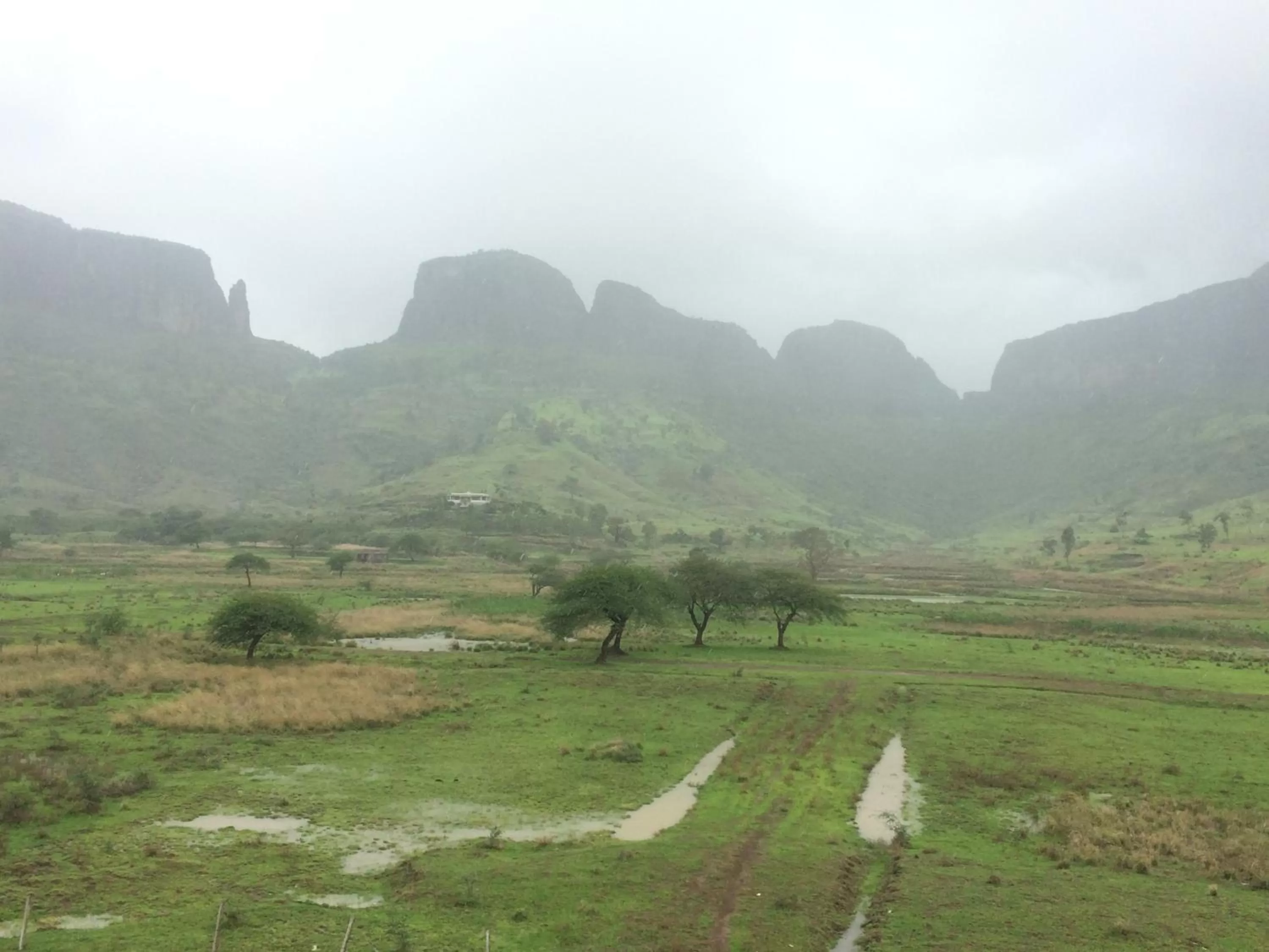 Garden in Hotel Shiva's Inn