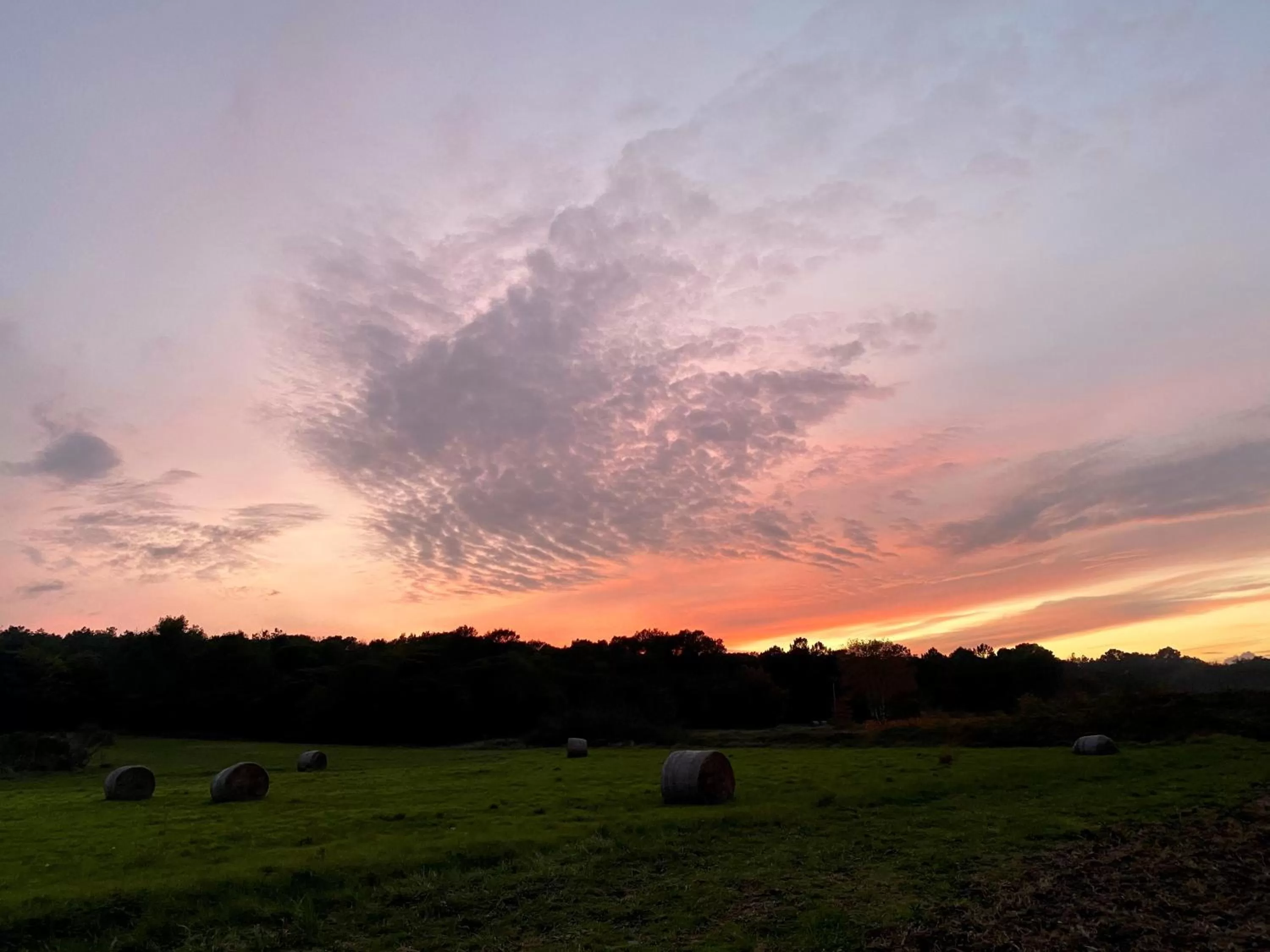 Winter in Domaine du Commandeur