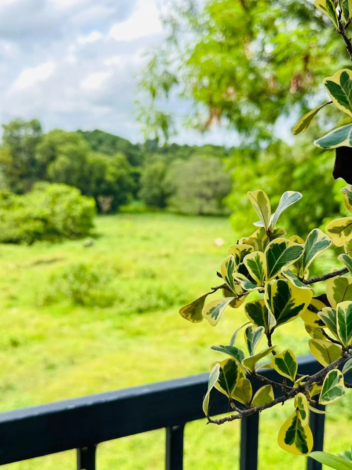 Garden view in Otha Shy Airport Transit Hotel