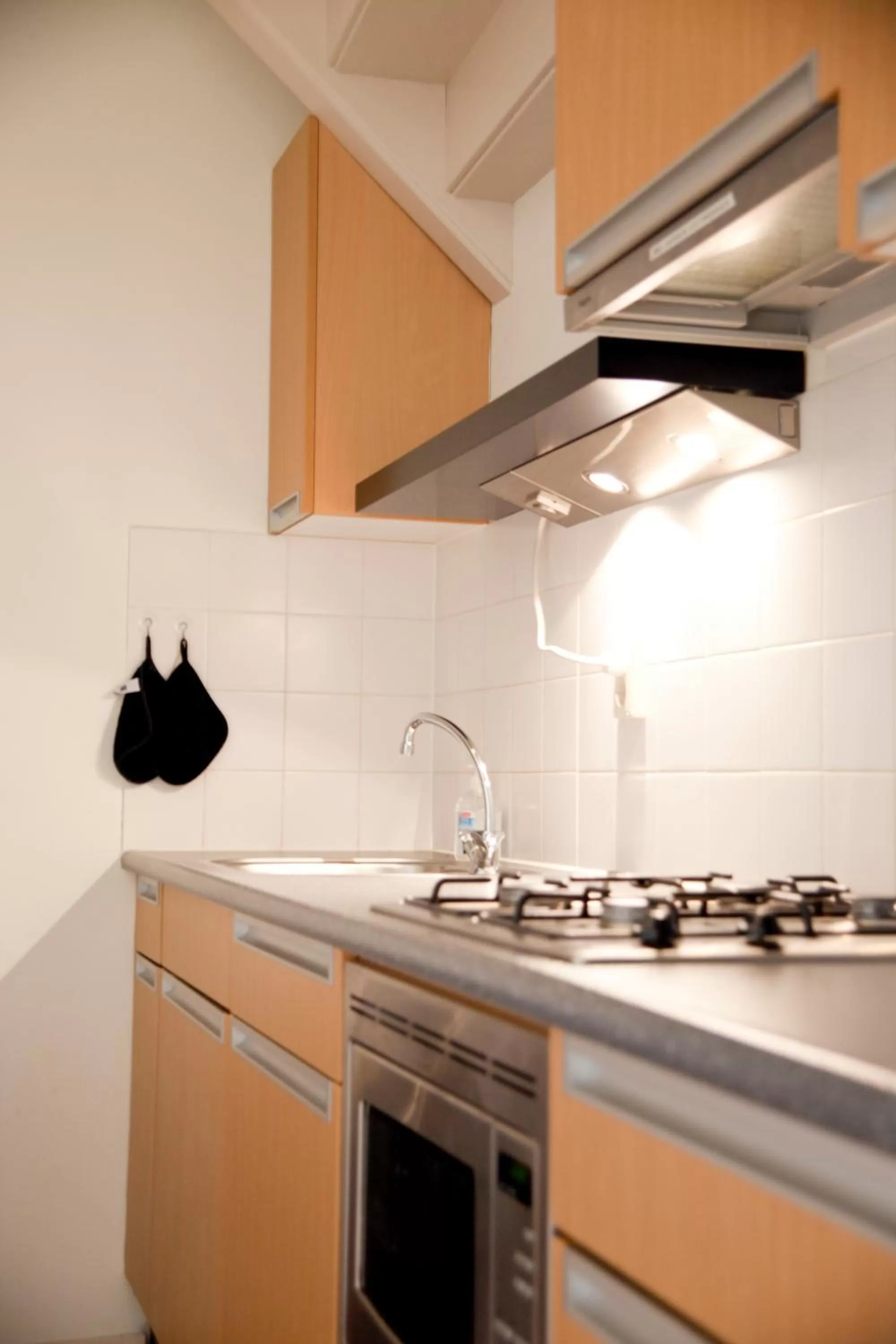 Kitchen or kitchenette in Gelkingehof Aparthotel