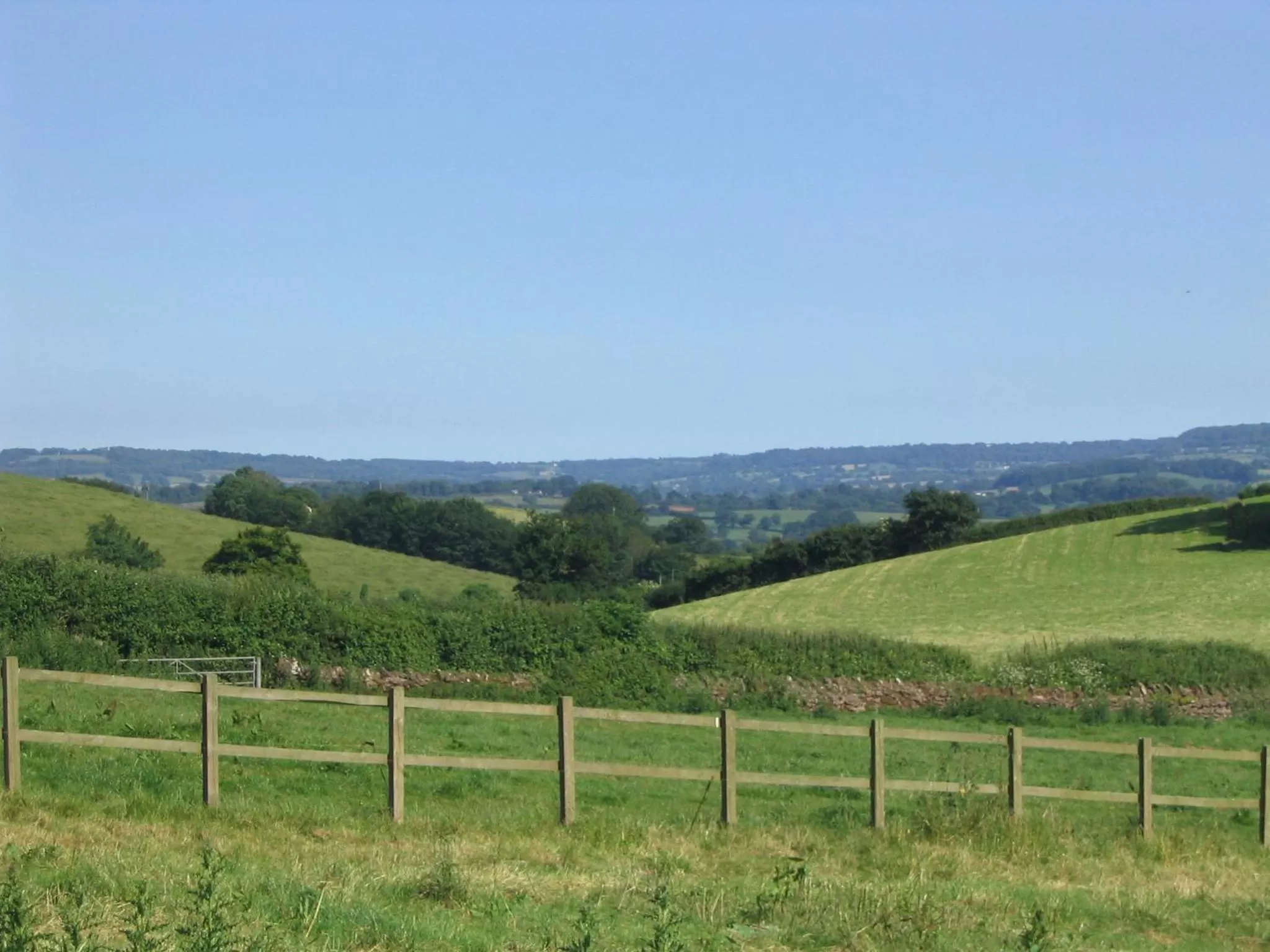 Garden view in Brambles Bed and Breakfast