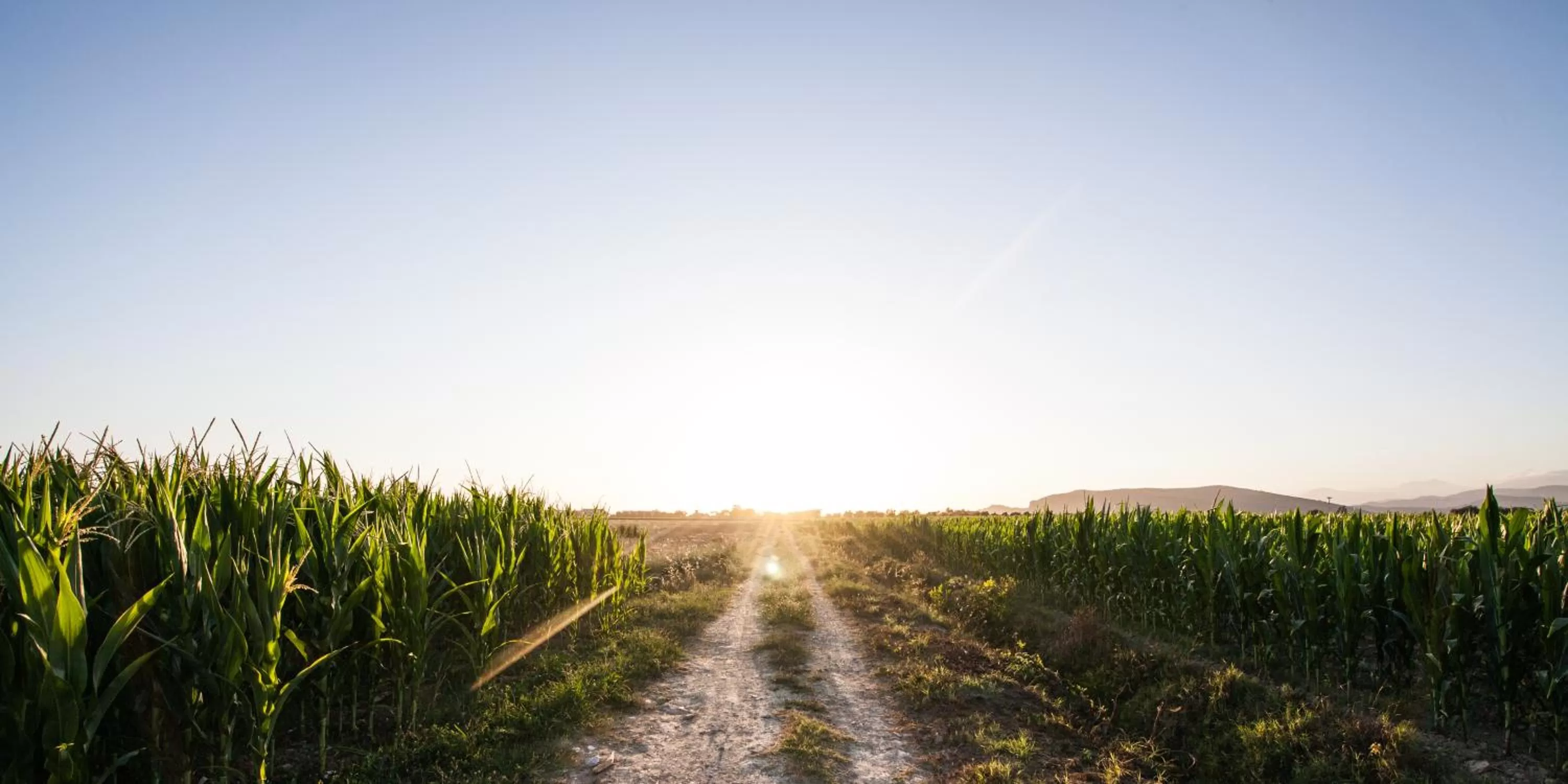 Mountain view in Cascina Canova