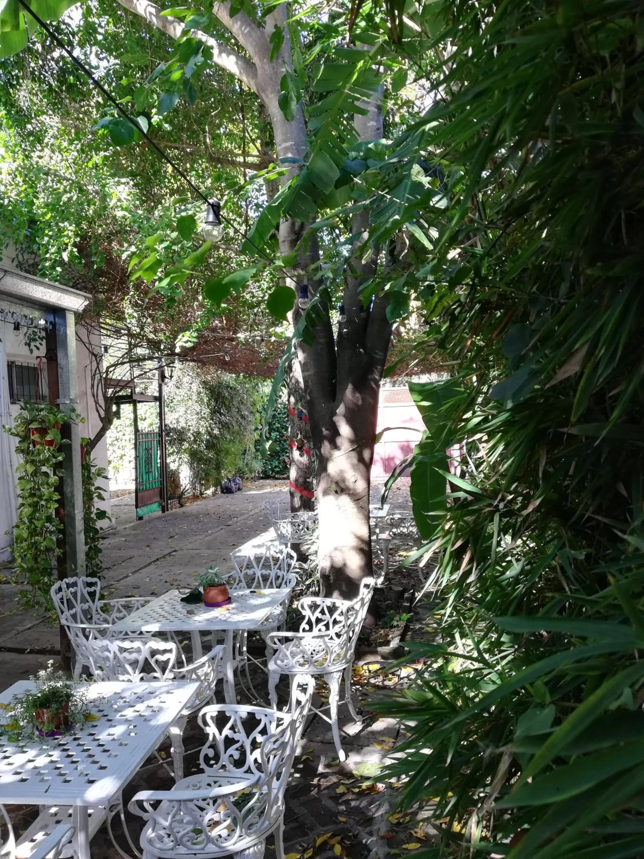 Casablanca Boutique Hotel Adrogué