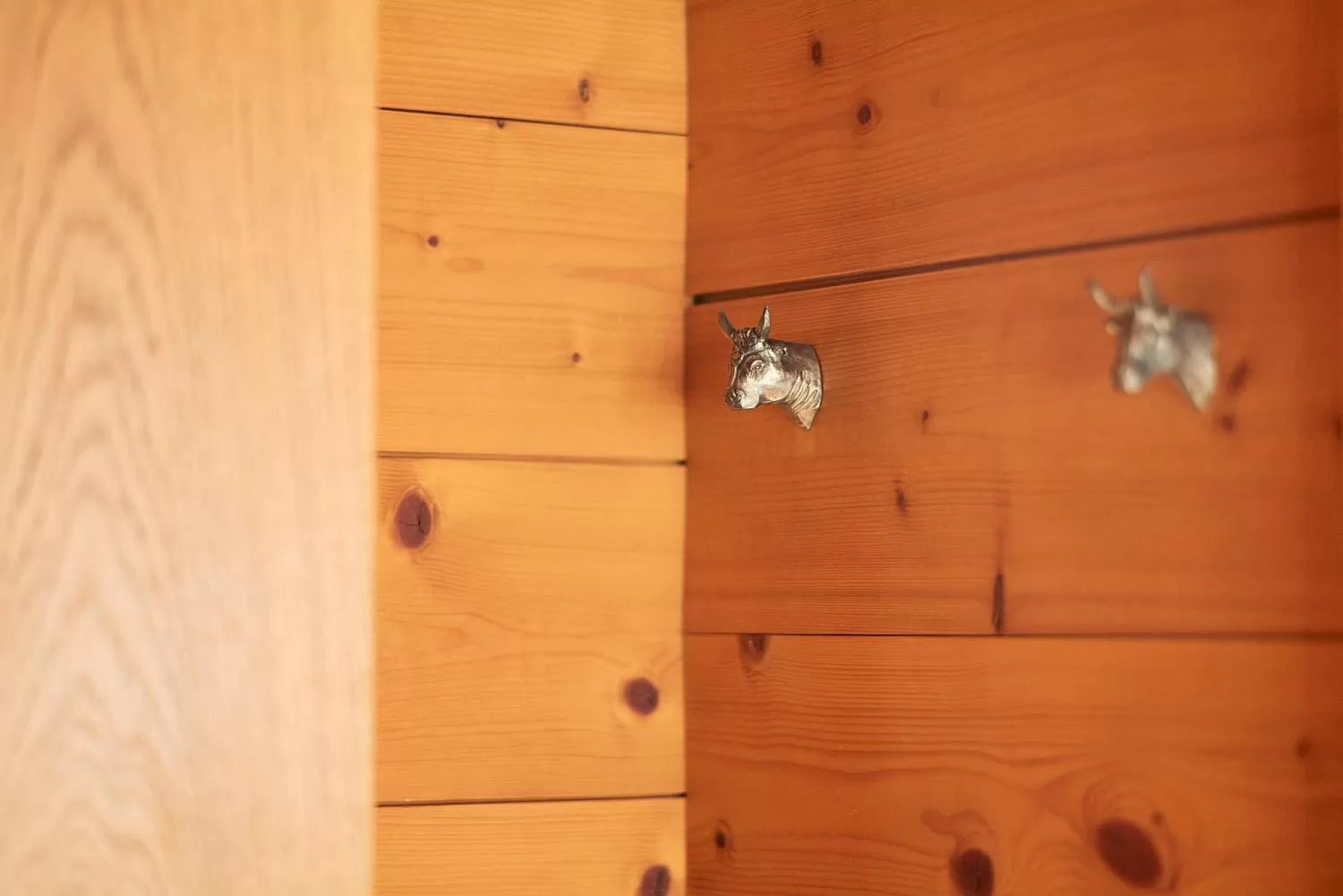 Photo of the whole room in Gasthaus Hof