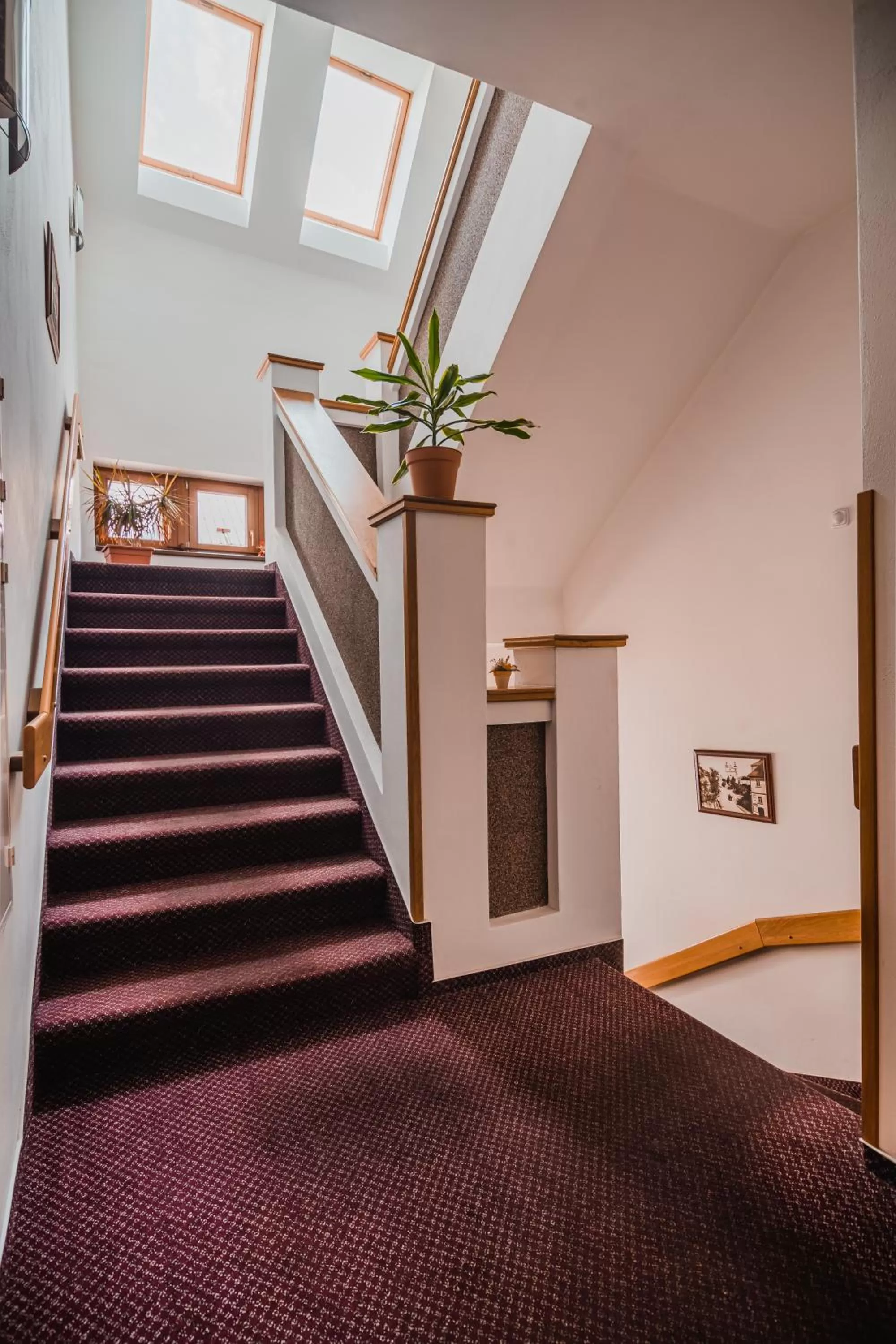 Property building in Hotel Krajka****