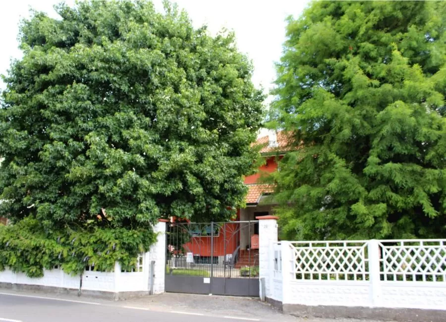 Facade/entrance in B&B Via Roma