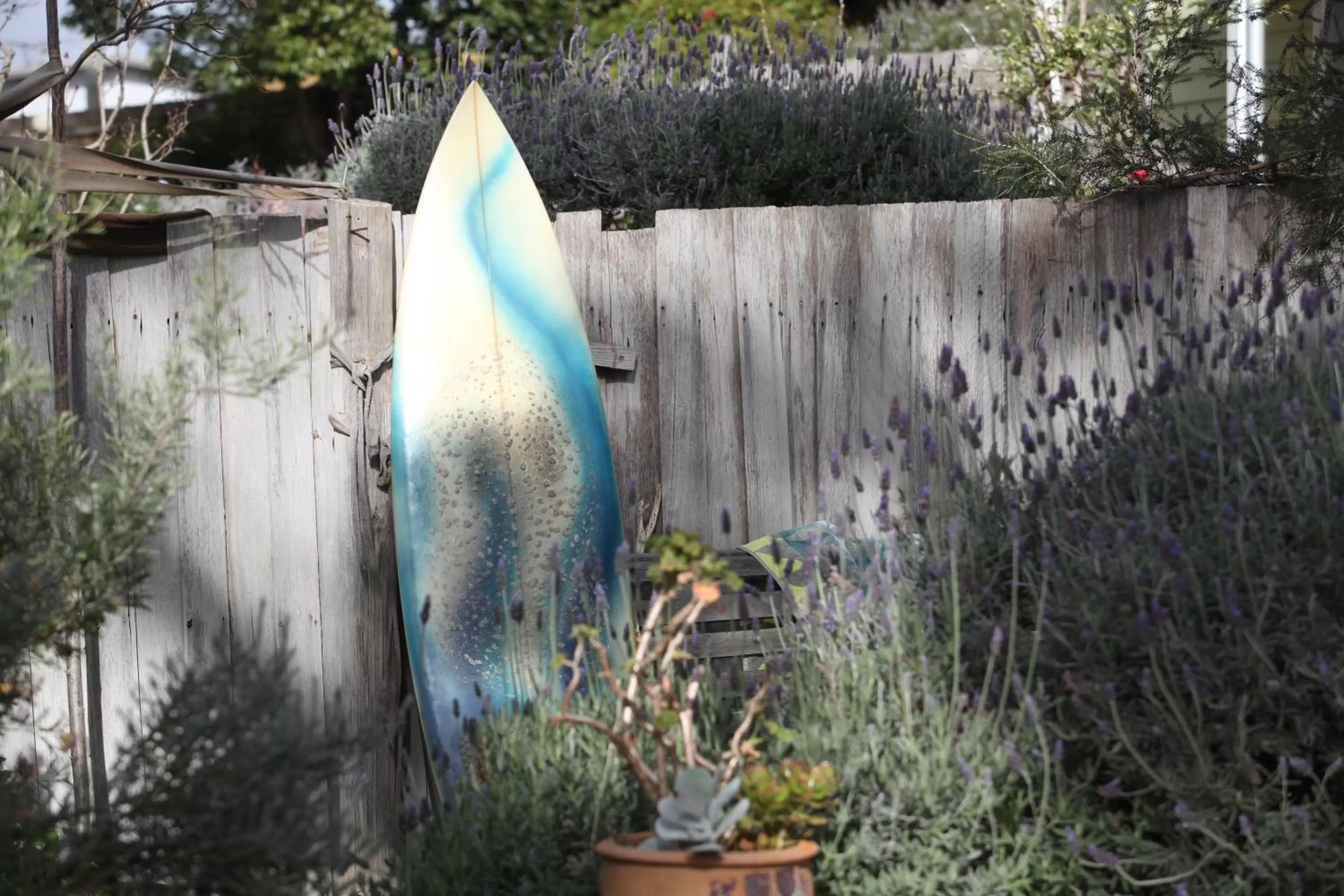 Garden, Other Animals in Sea Salt Bnb