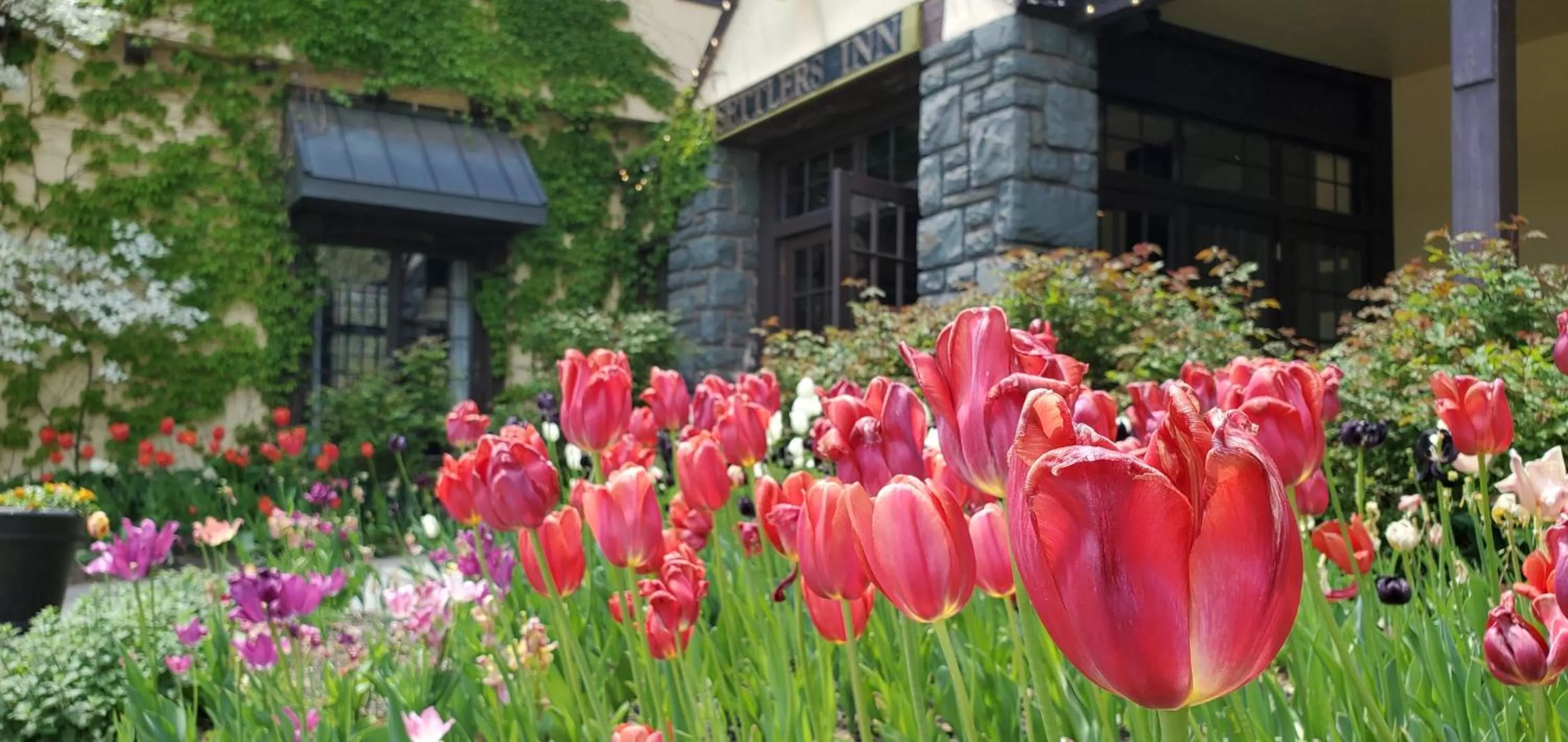 Facade/entrance in Settlers Inn