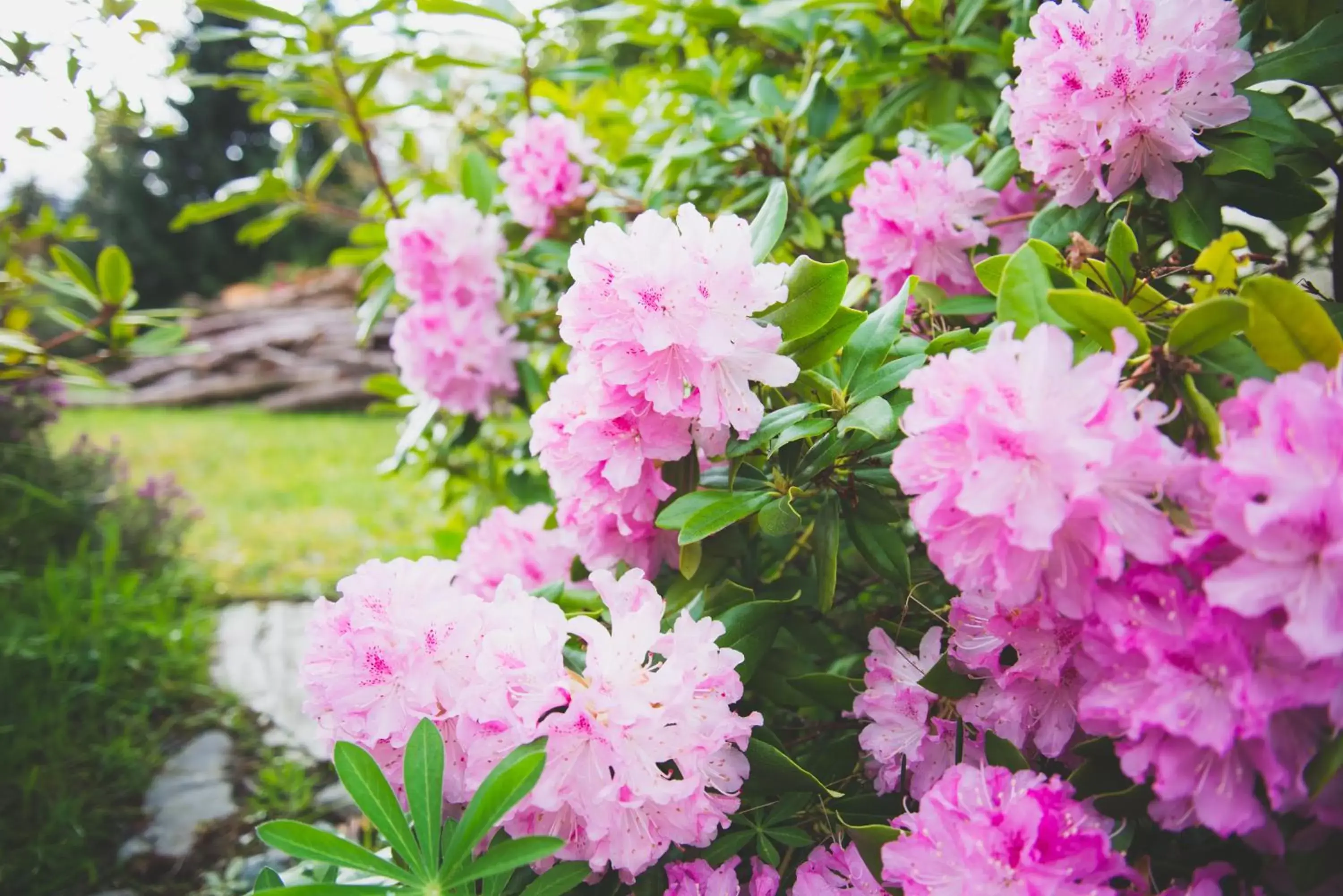 Twin Room in Alpenhorn Motel Twin Room in Alpenhorn Motel