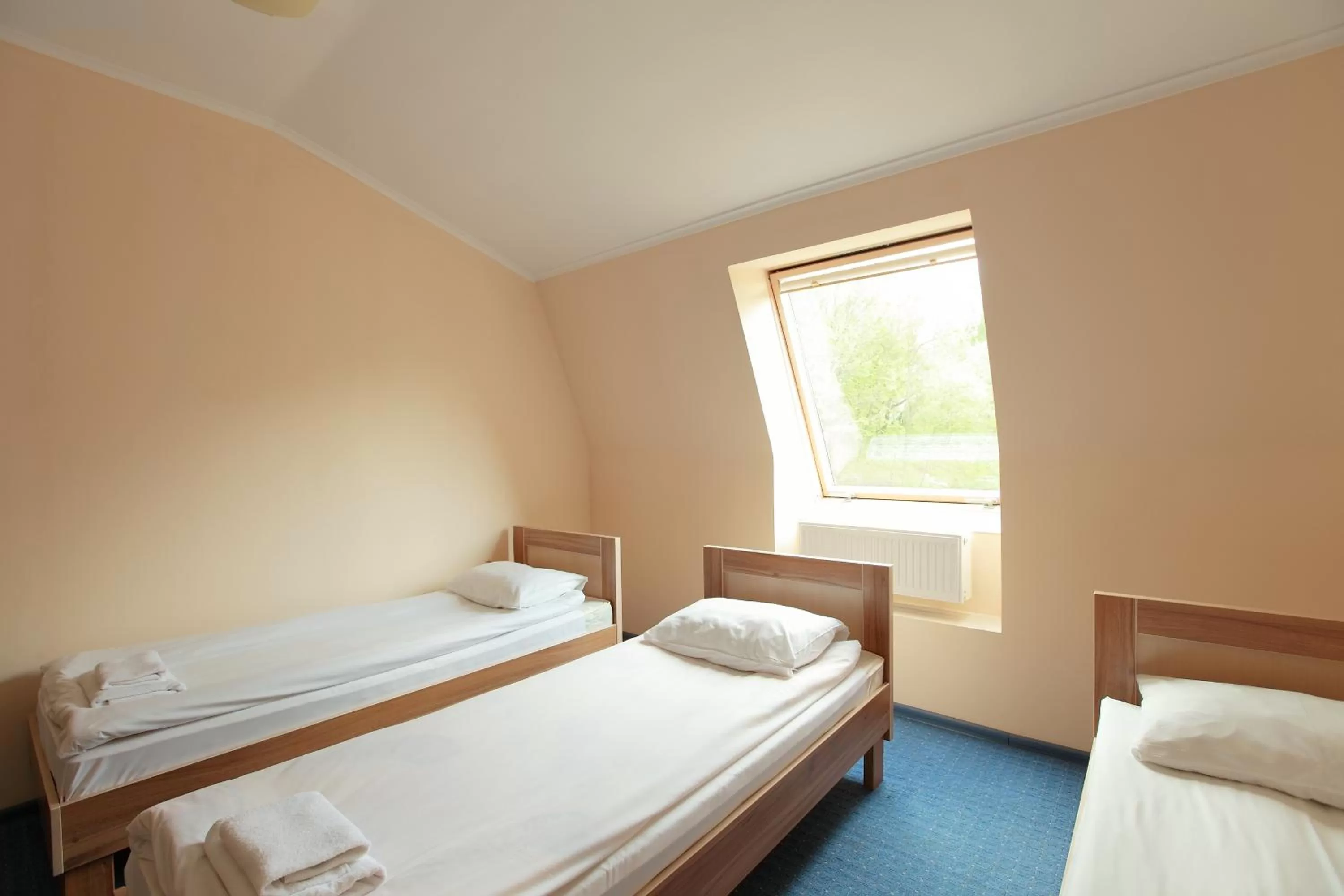 Bed in Budget Hotel Ekotel