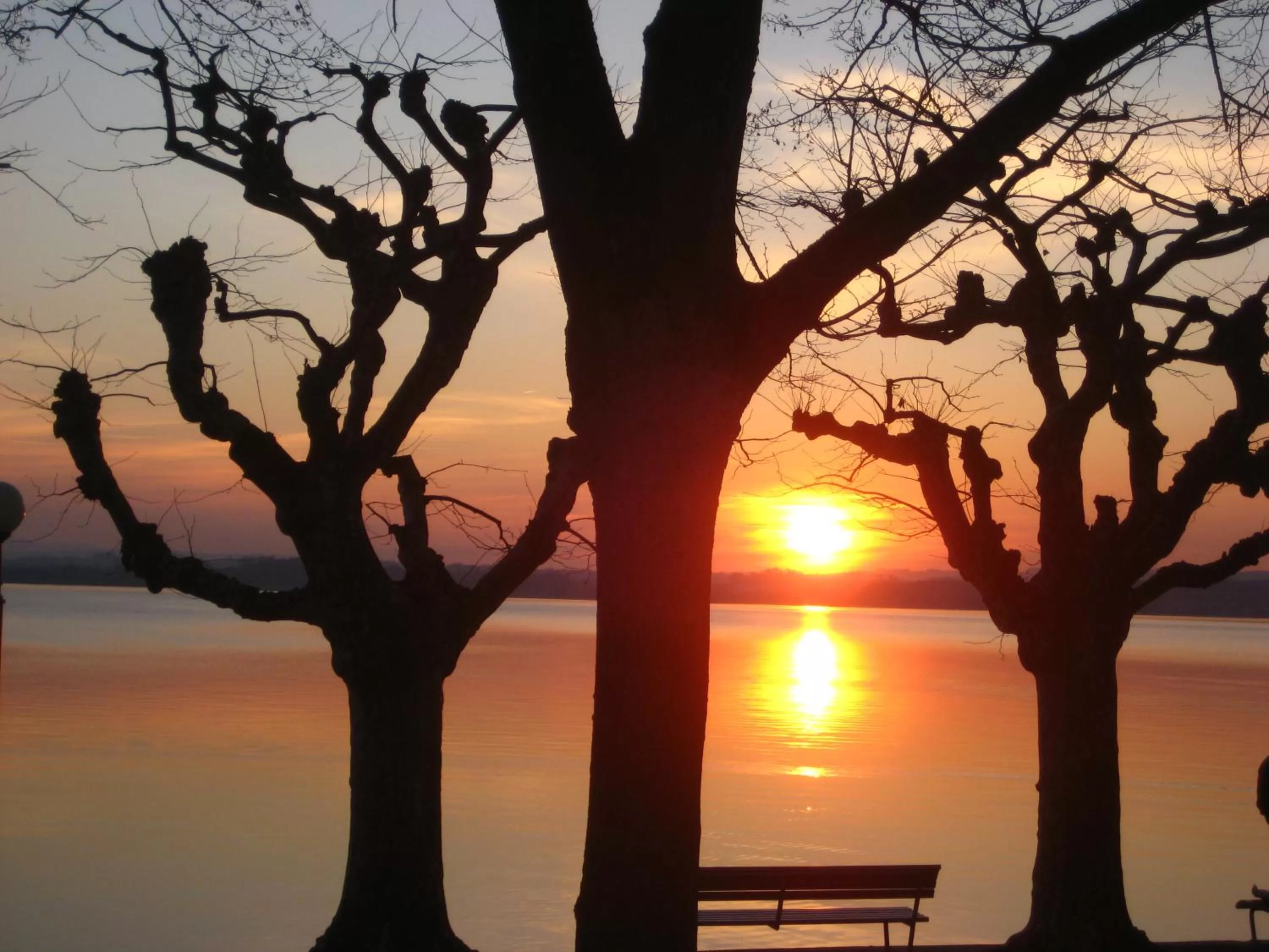 Natural landscape in City-Hotel Ochsen