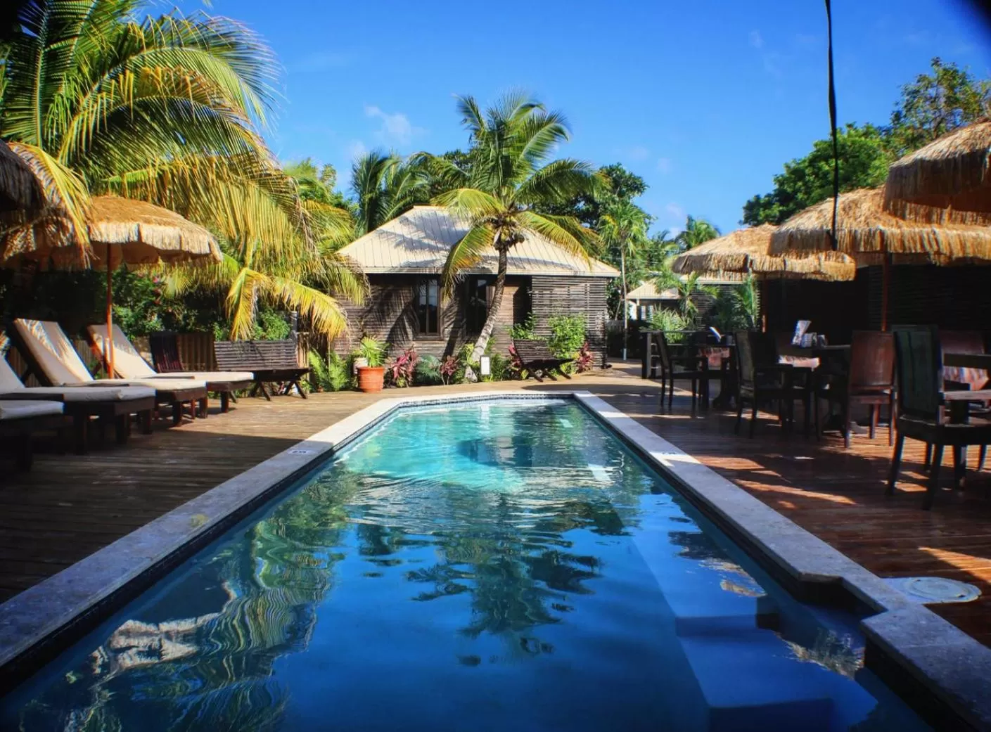 Pool view, Swimming Pool in PUR Boutique Cabanas, Adults Only
