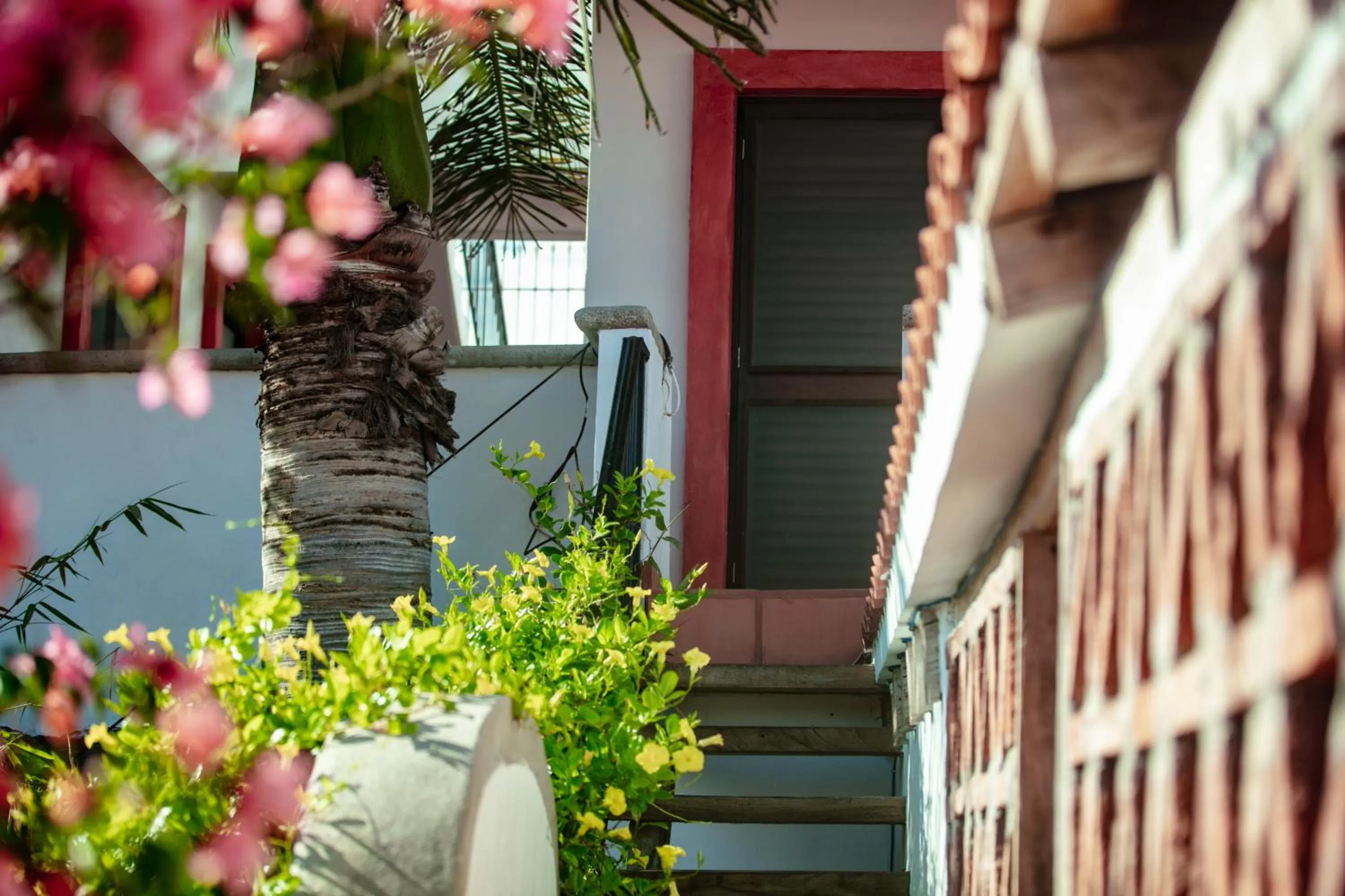 Villa Serena Centro Historico