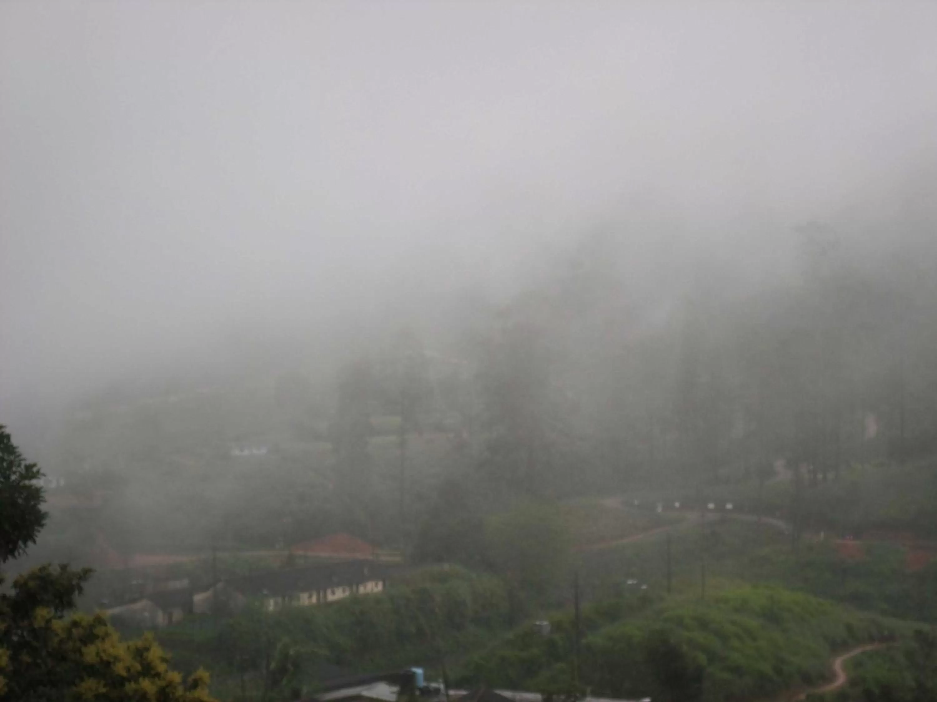 Mountain view in The Train View