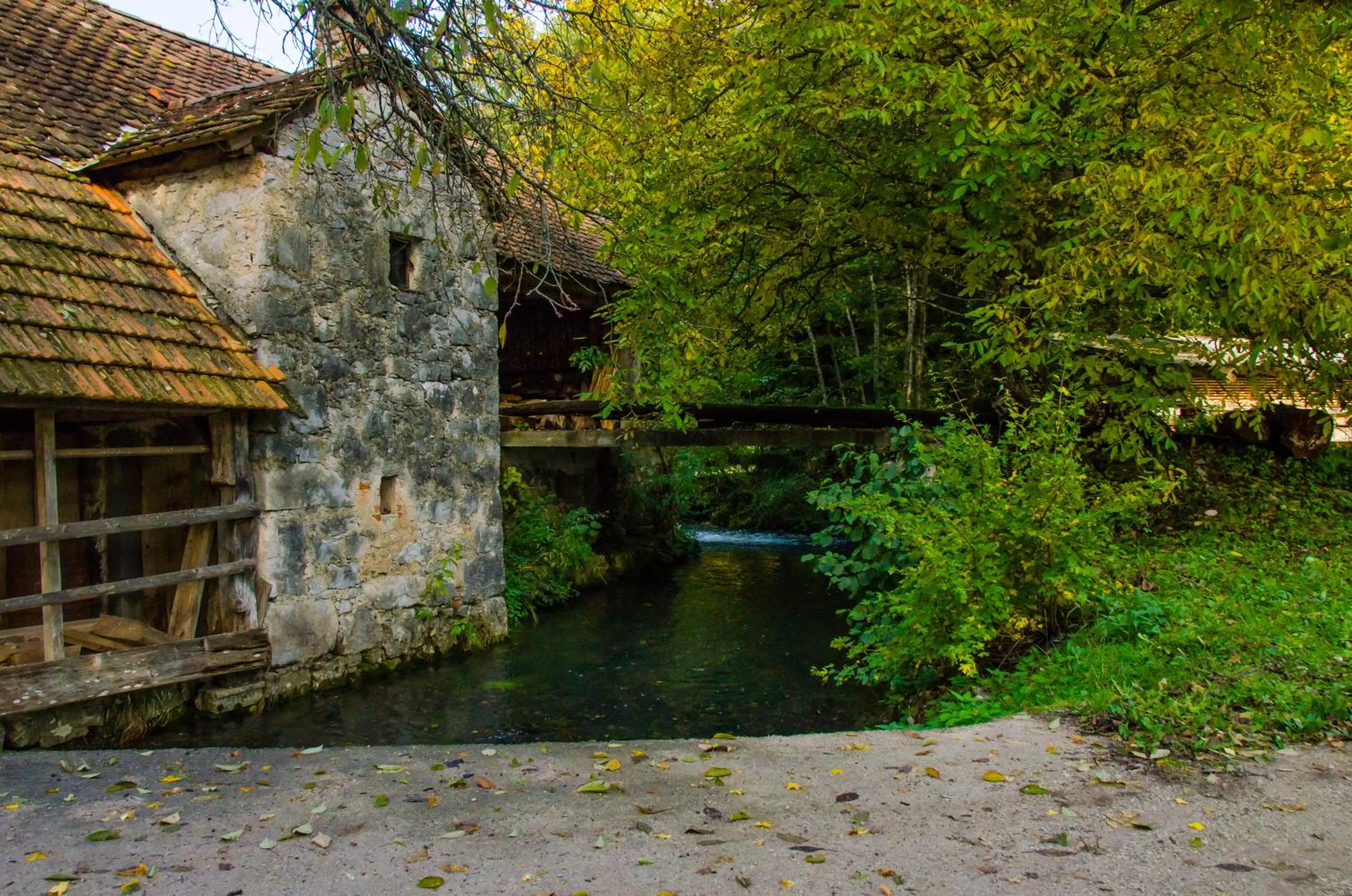 Area and facilities in Miškar Rooms