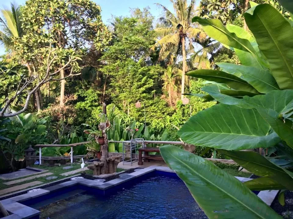 Swimming Pool in Kerta Family Bed and Breakfast