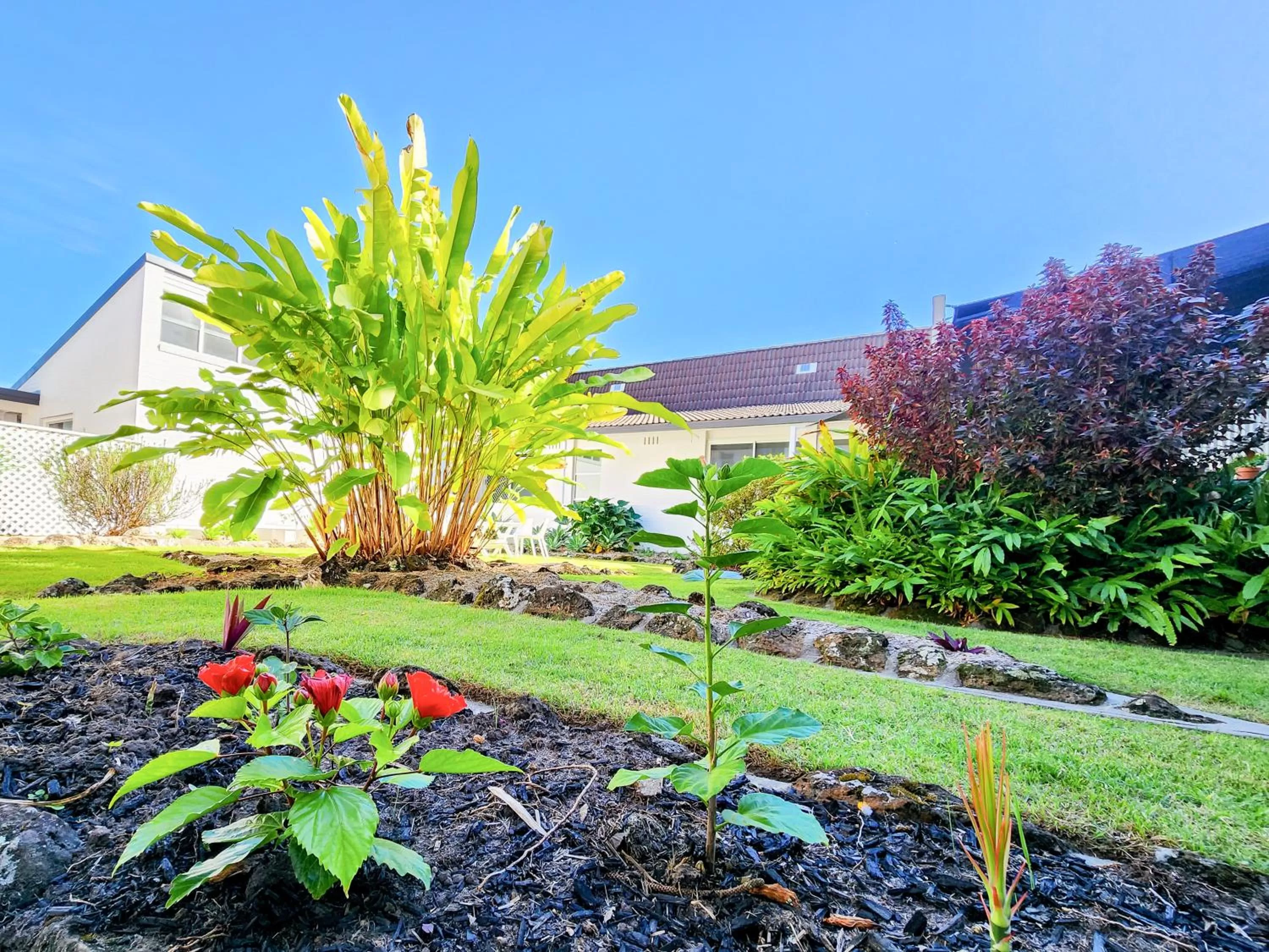 Garden in The Stella