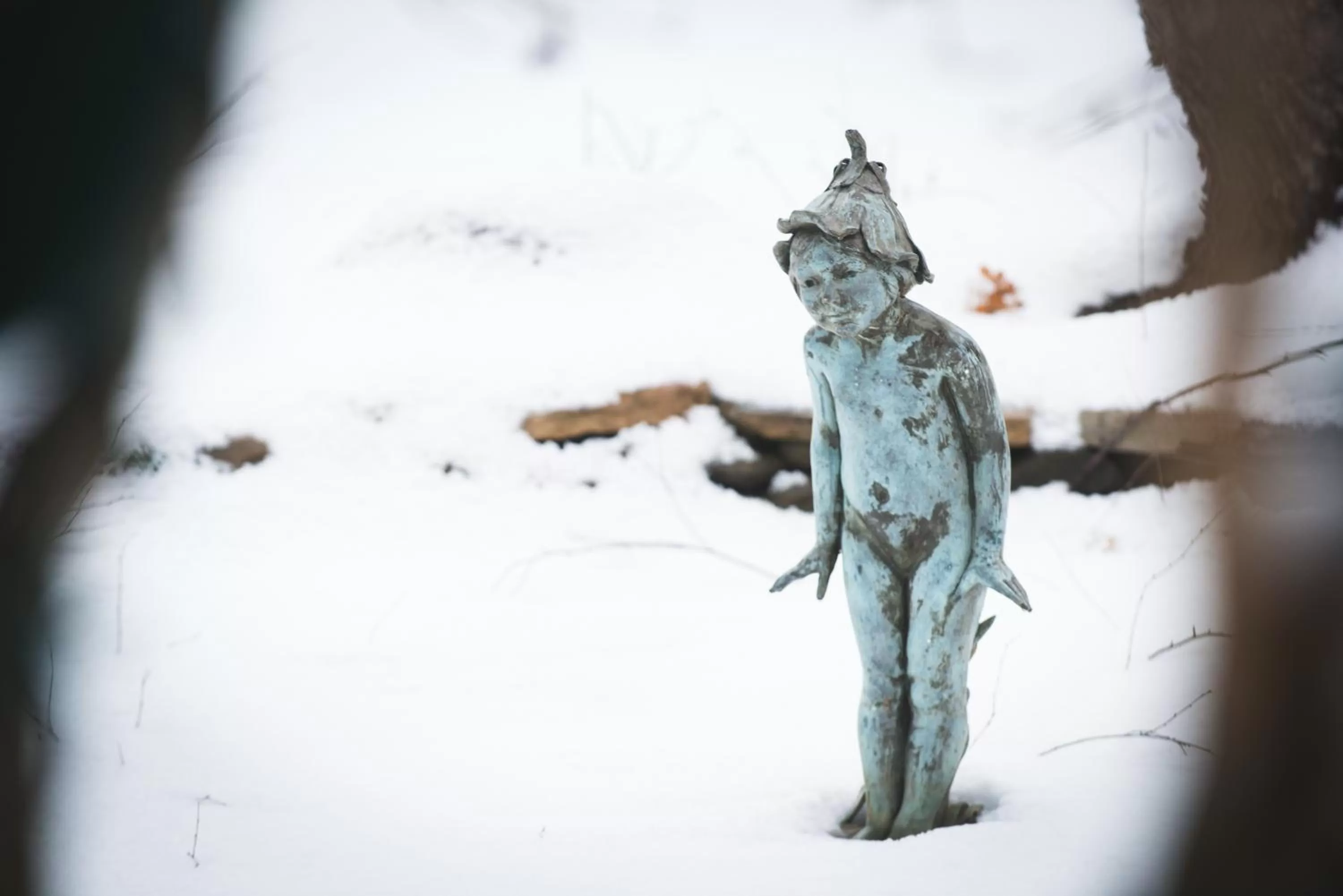 Garden, Winter in Four Columns Inn