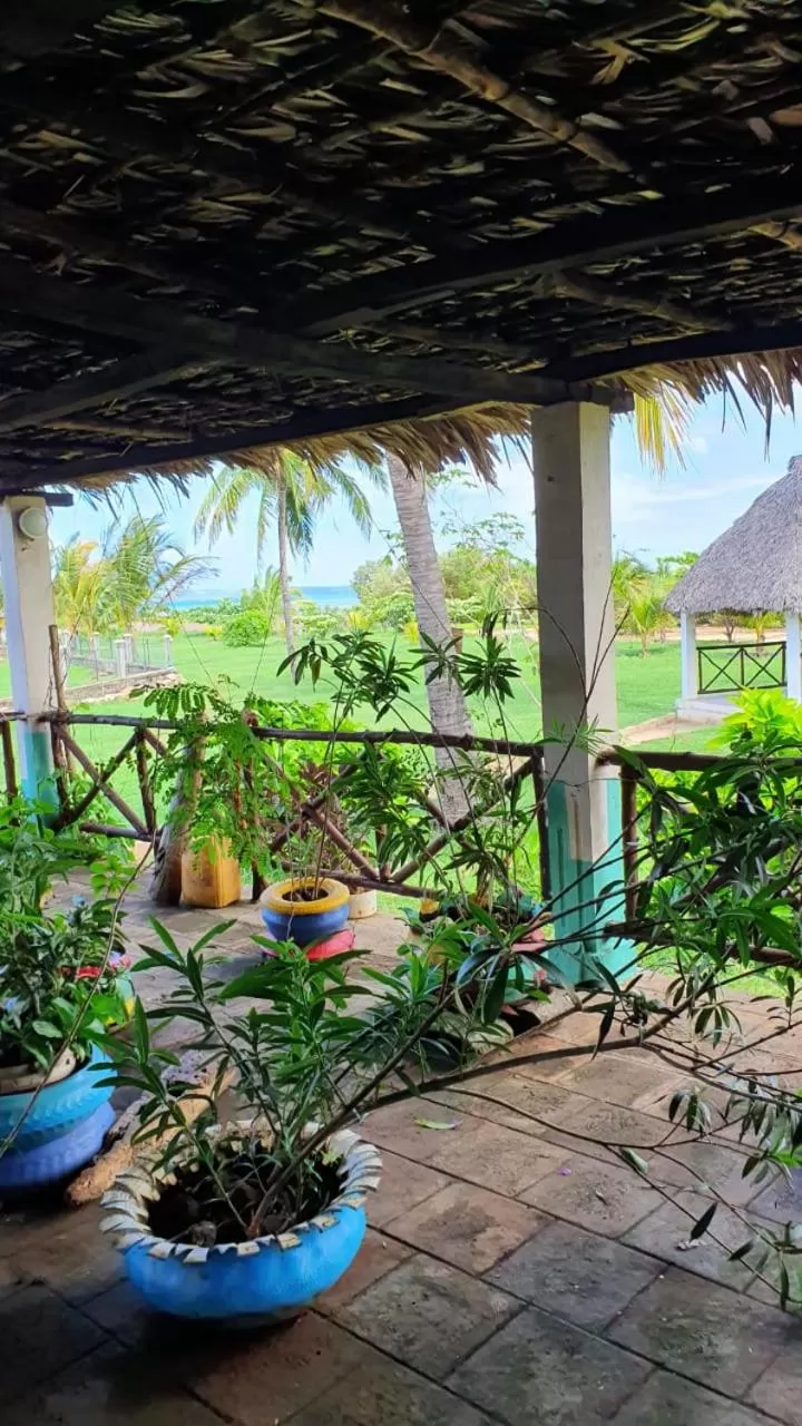 Pool View in SANJEELA-PLAGE COCO