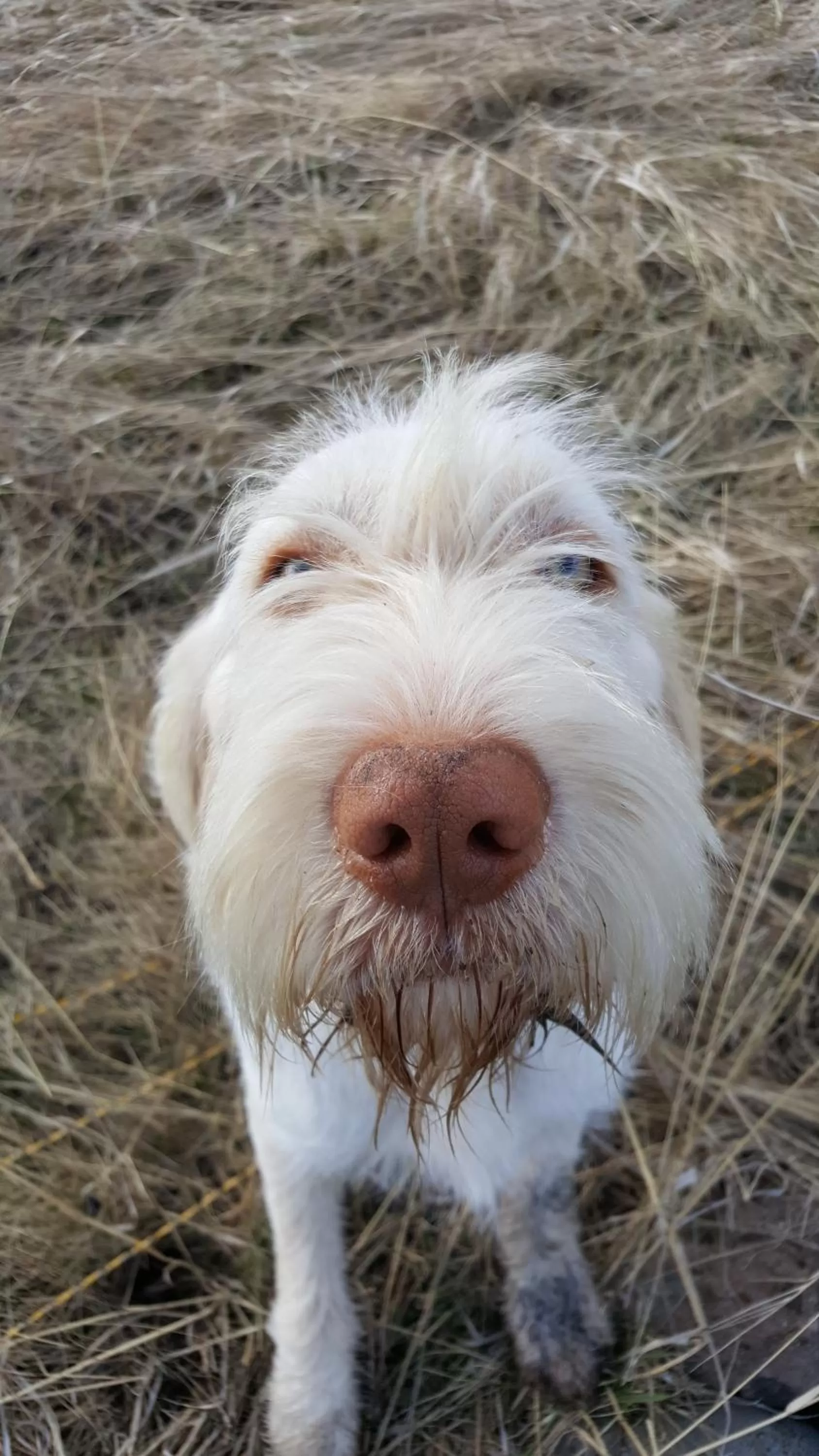 Property building in Wettstone Guest Ranch