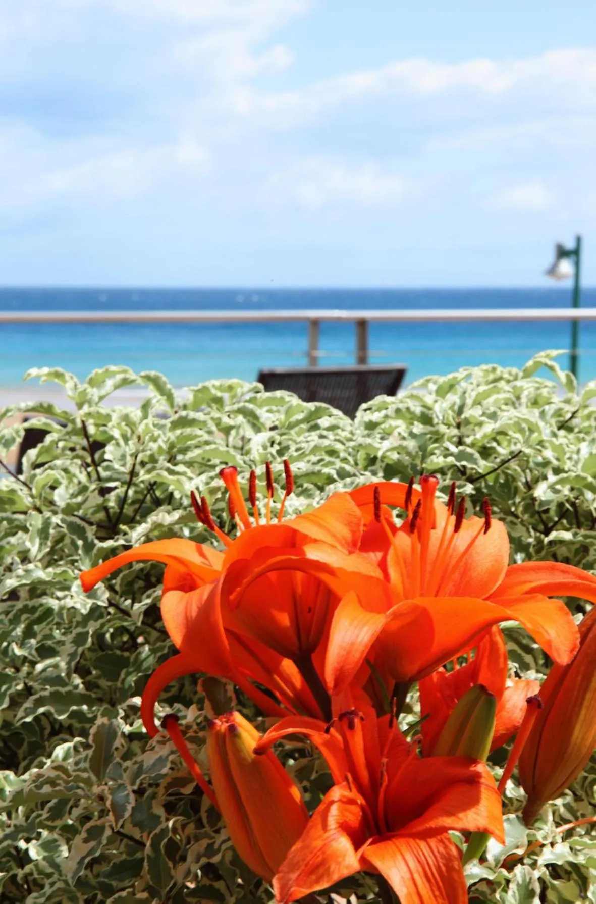 Other in Hotel Metrokua