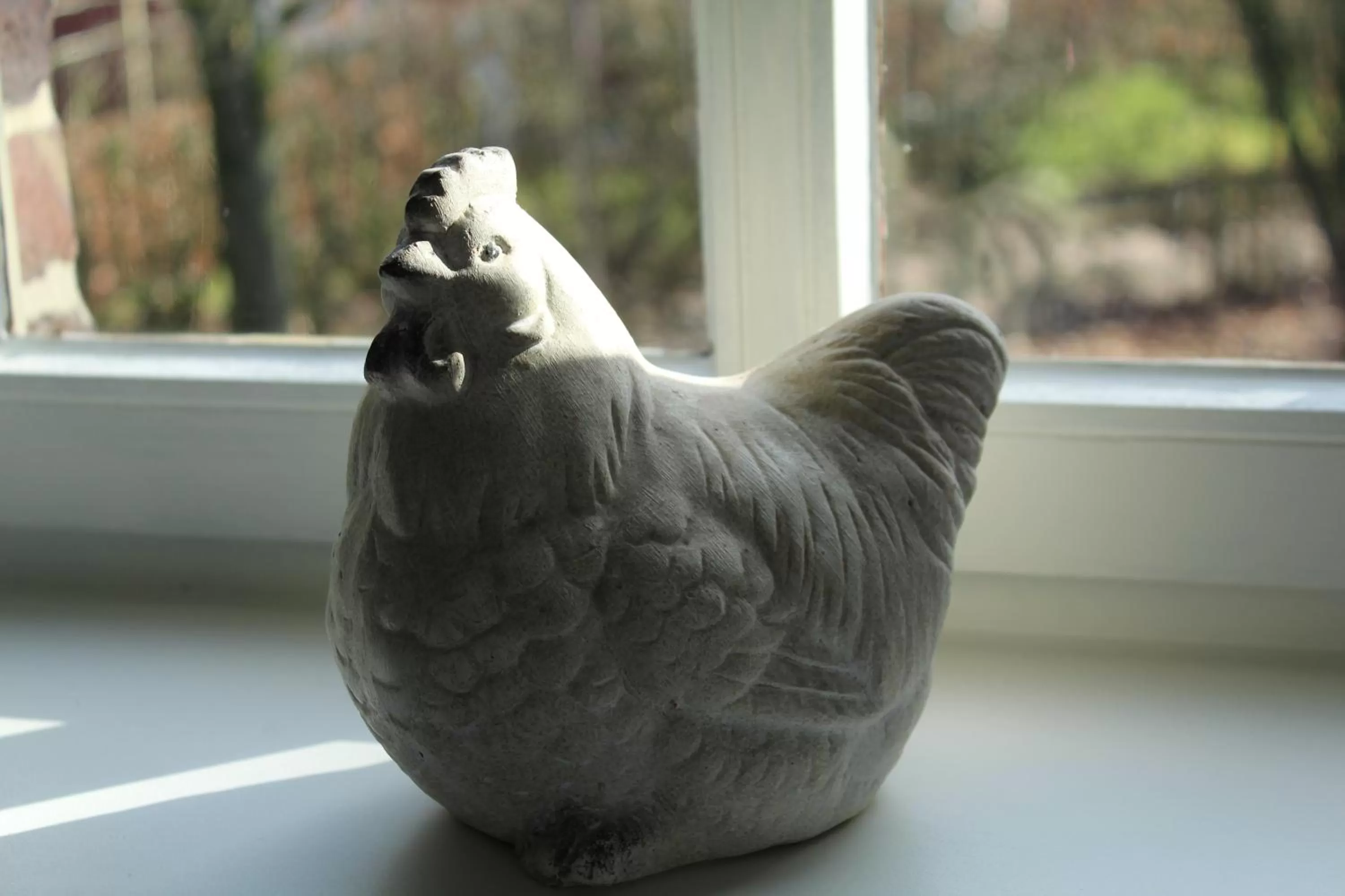 Other Animals in B&B Dageraad