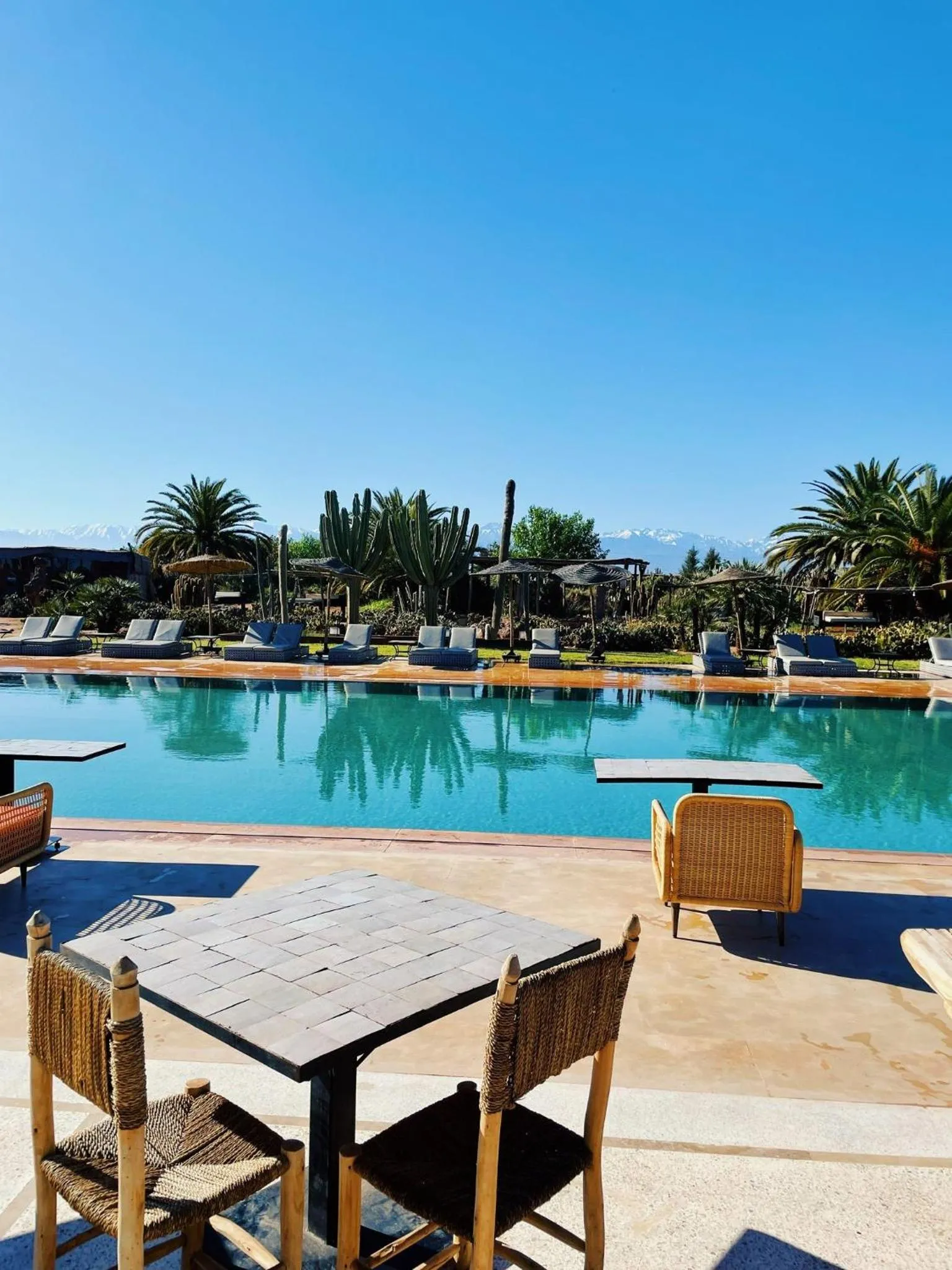 Restaurant/places to eat in Fellah Hotel