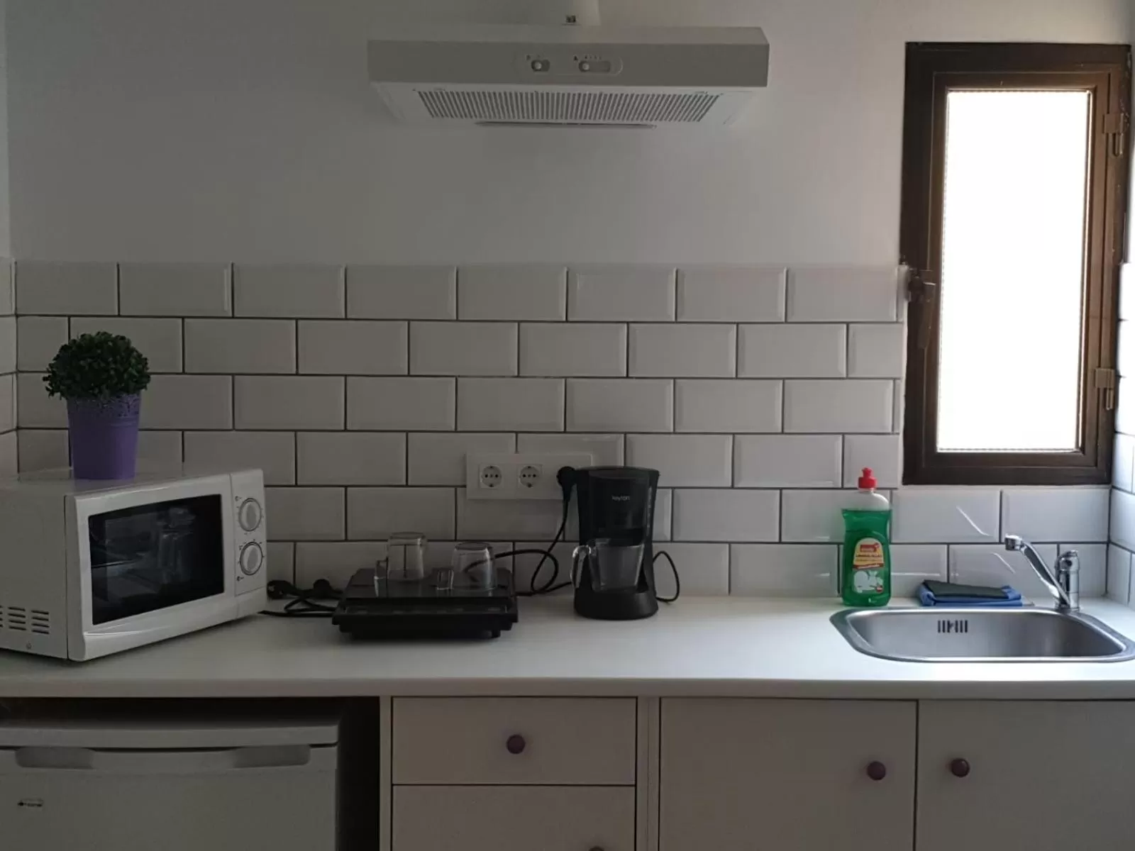 Kitchen or kitchenette in Hotel y Apartamentos Doña Lola