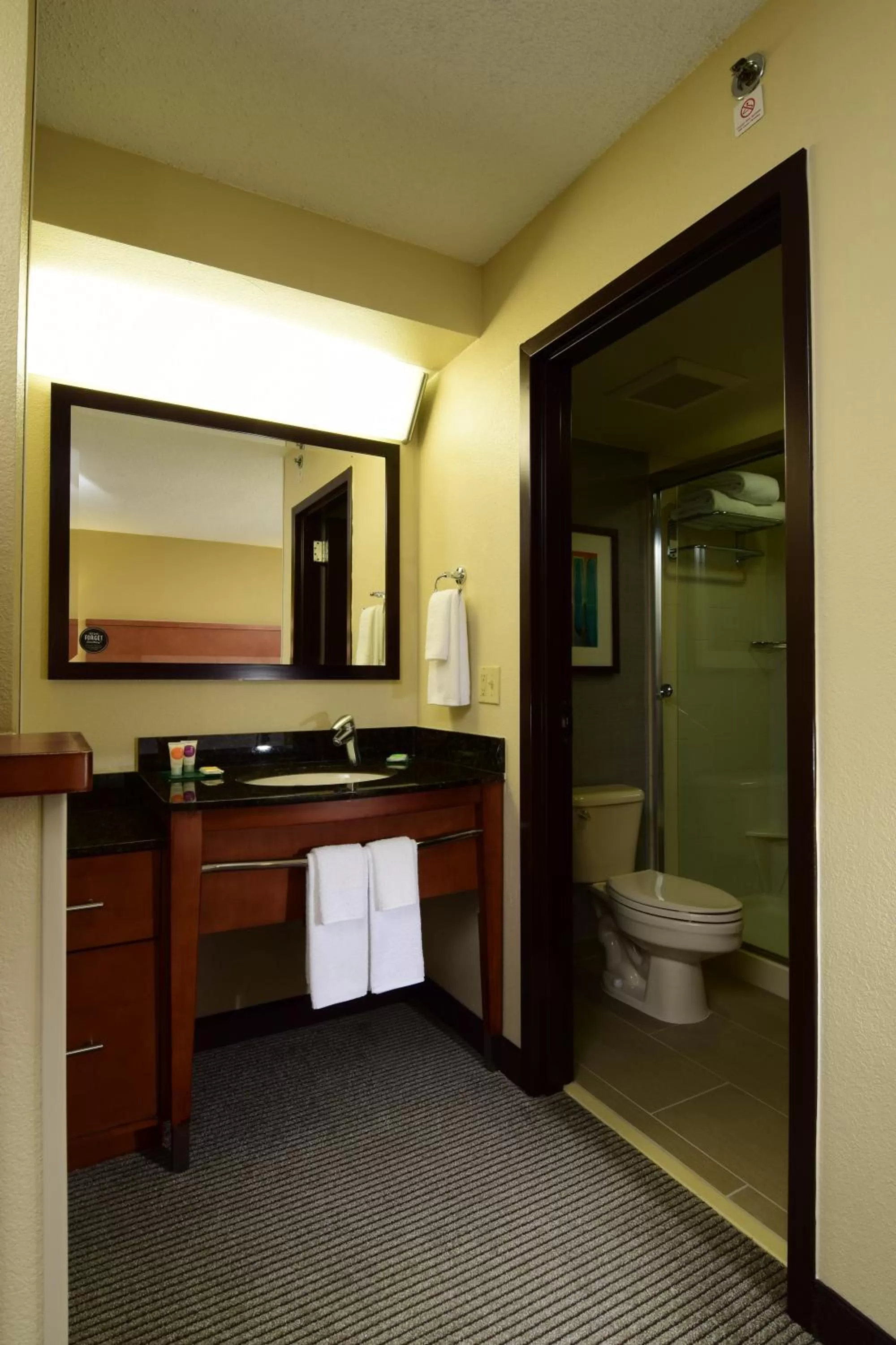 Toilet in Hyatt Place Dallas Las Colinas