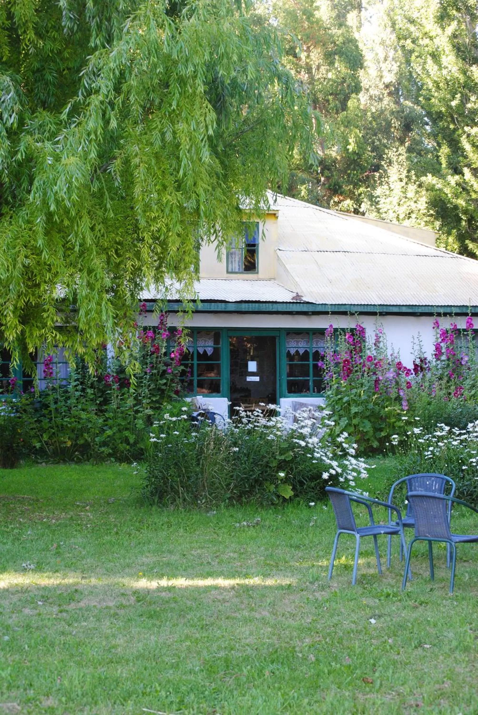Garden, Property Building in Hostería de la Patagonia