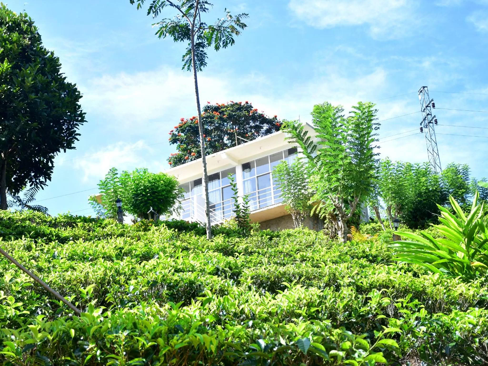 Property Building in Ornateview Hotel