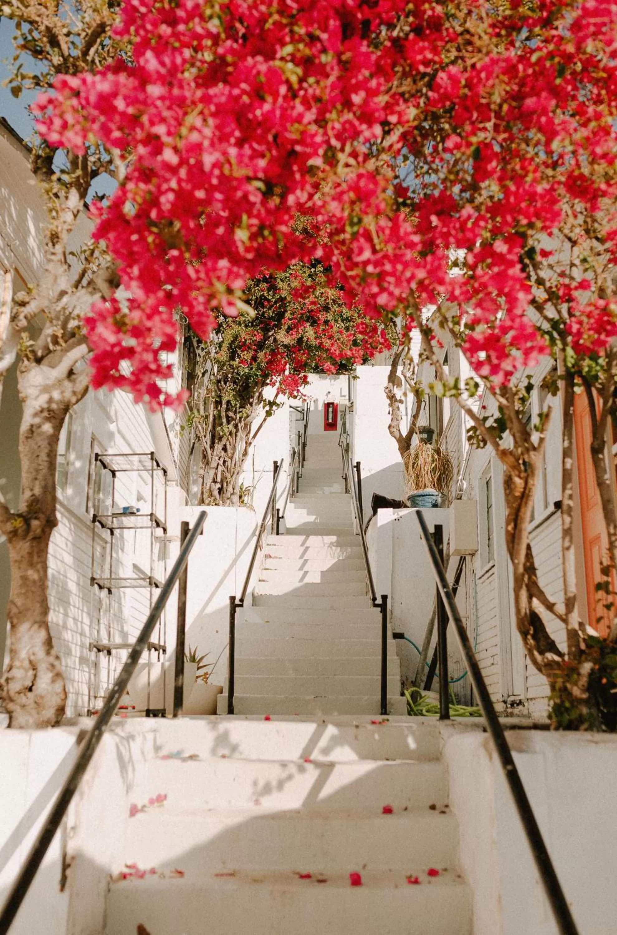 Children play ground in Hermosa Hotel