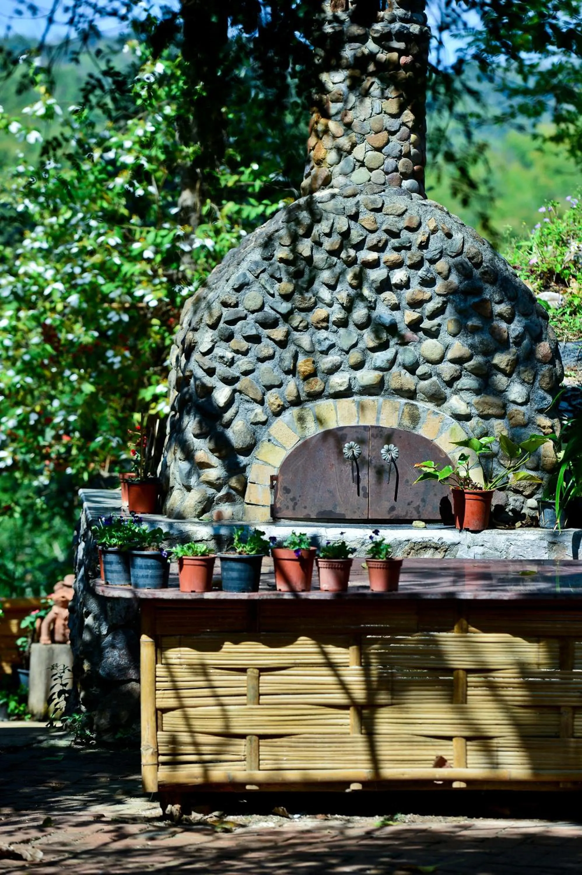 Food and drinks in Phu Chaisai Chiang Rai Mountain Resort