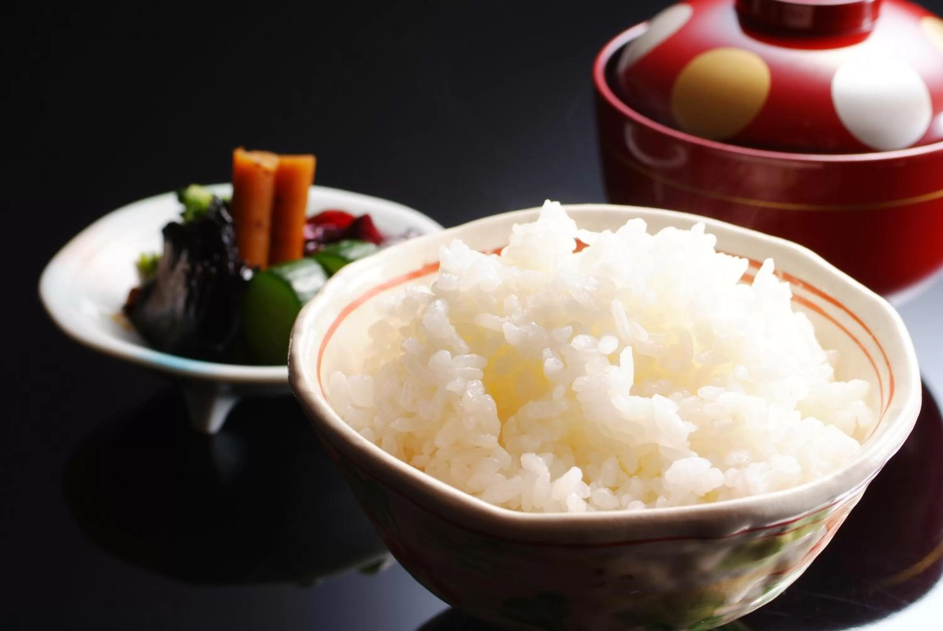 Dinner in Kadensho, Arashiyama Onsen, Kyoto - Kyoritsu Resort