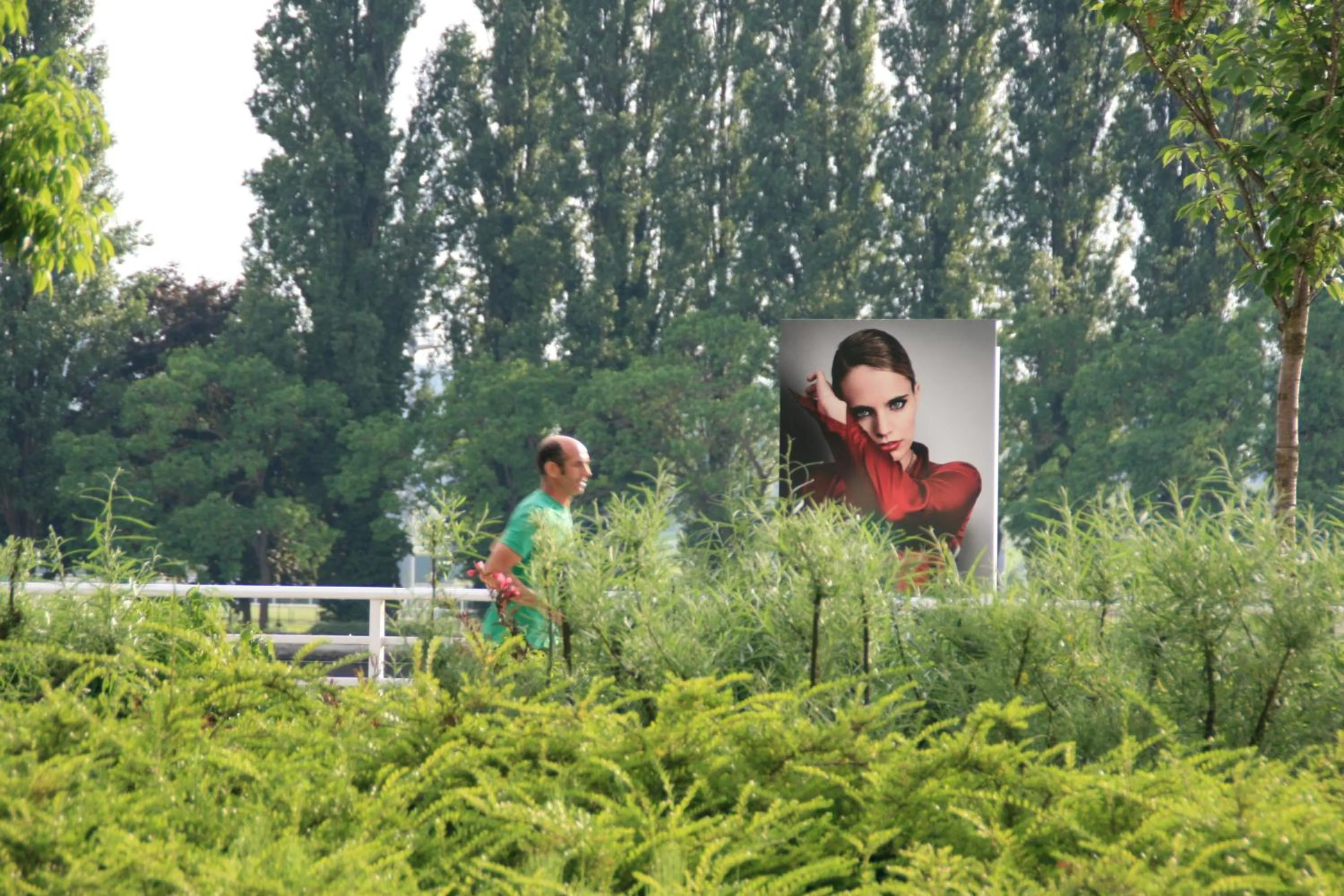 Area and facilities in Hôtel des Thermes Les Dômes