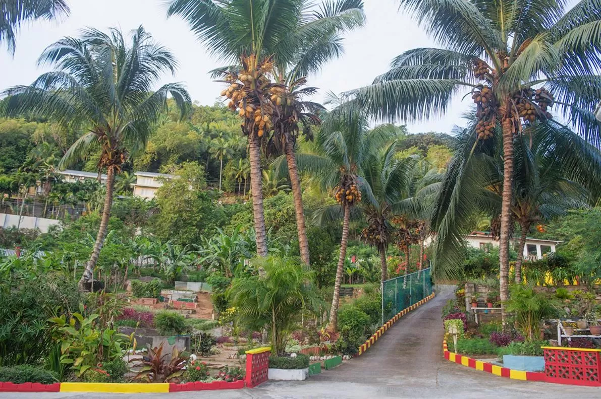 Evergreen Apartments