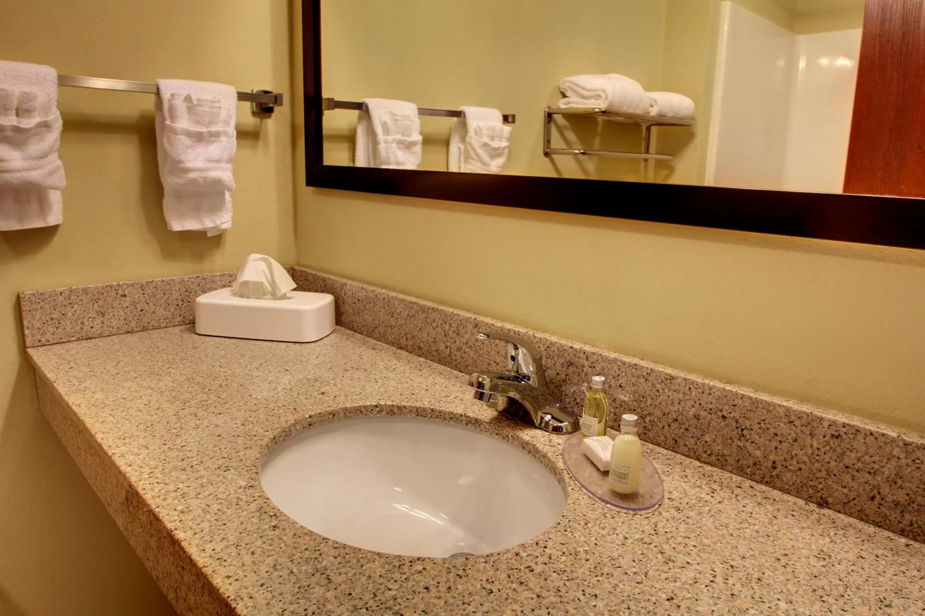 Bathroom in Cobblestone Inn & Suites - Harvey