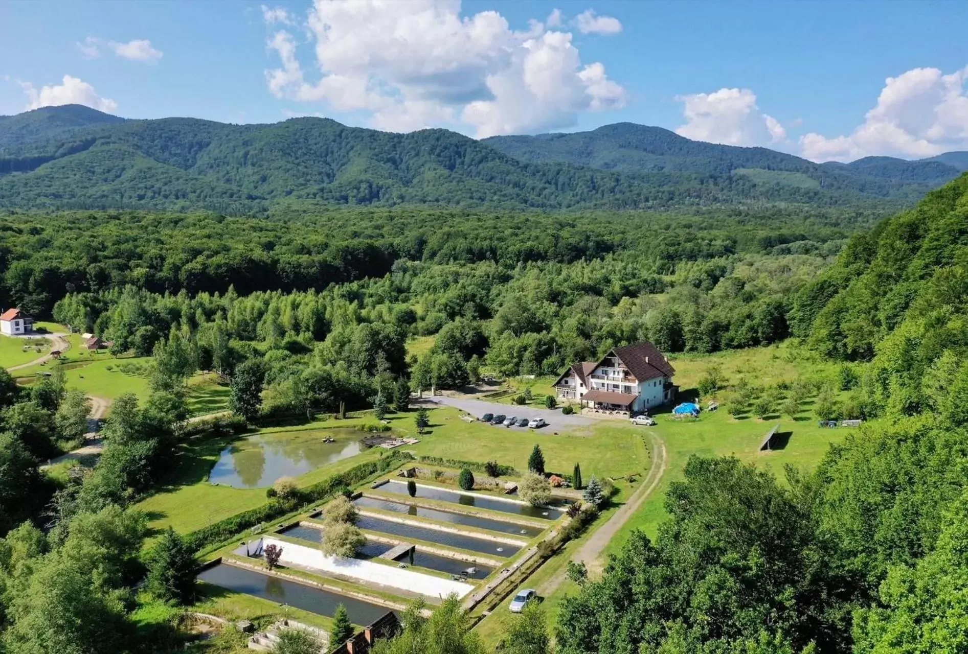 Valea Salbatica Valea Salbatica