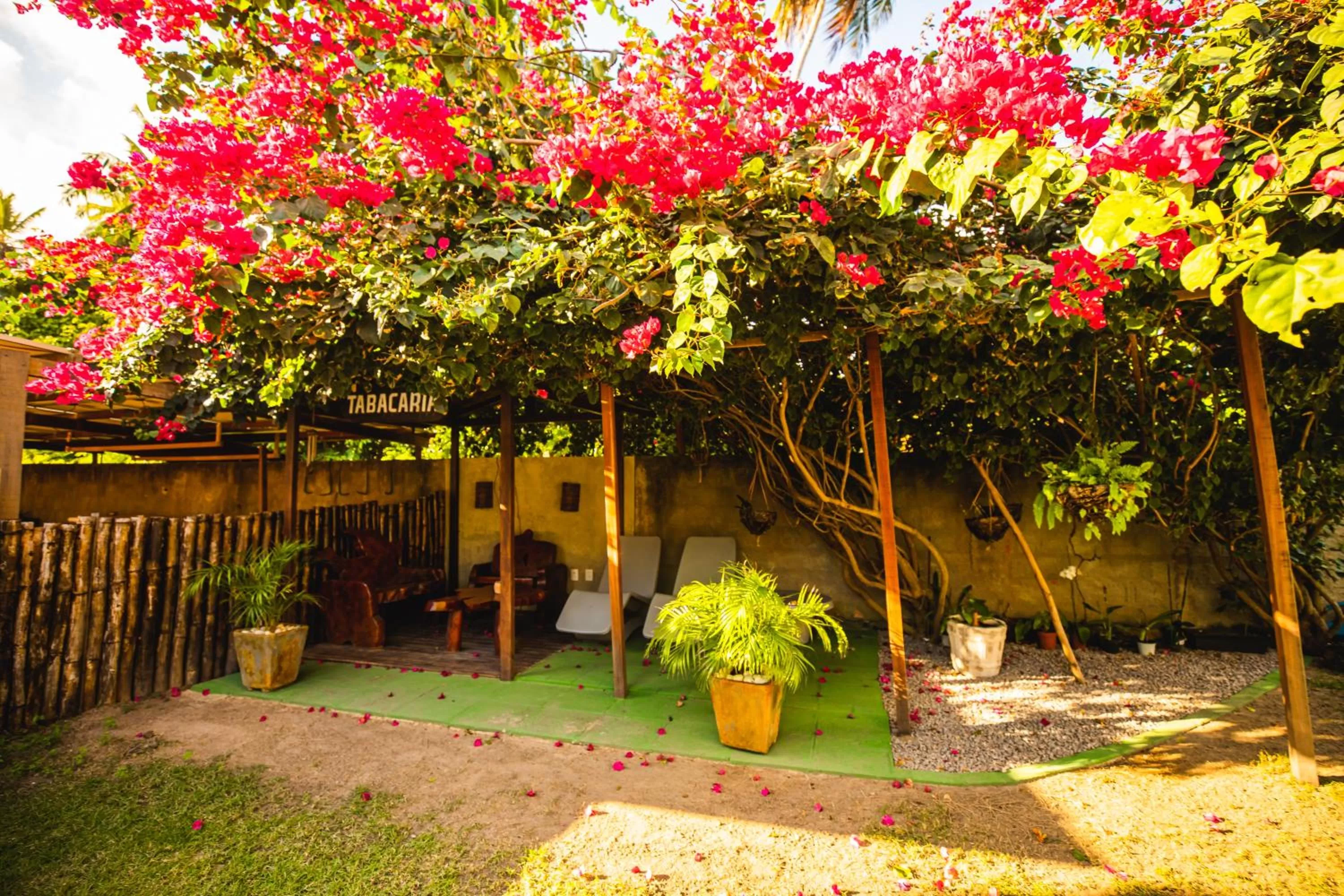 Garden in Pousada Rangai