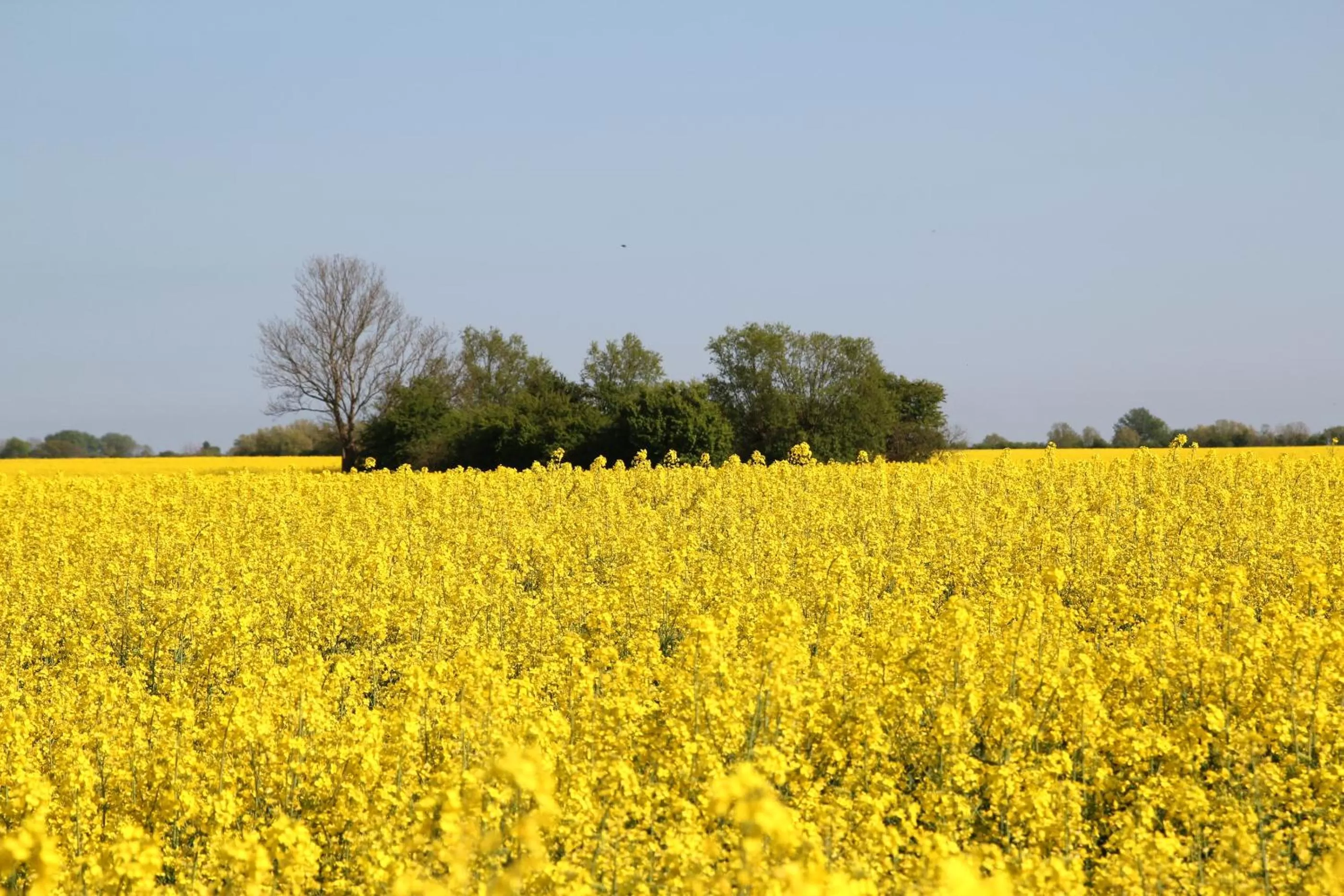 Property building in Avalon Hotel Bellevue